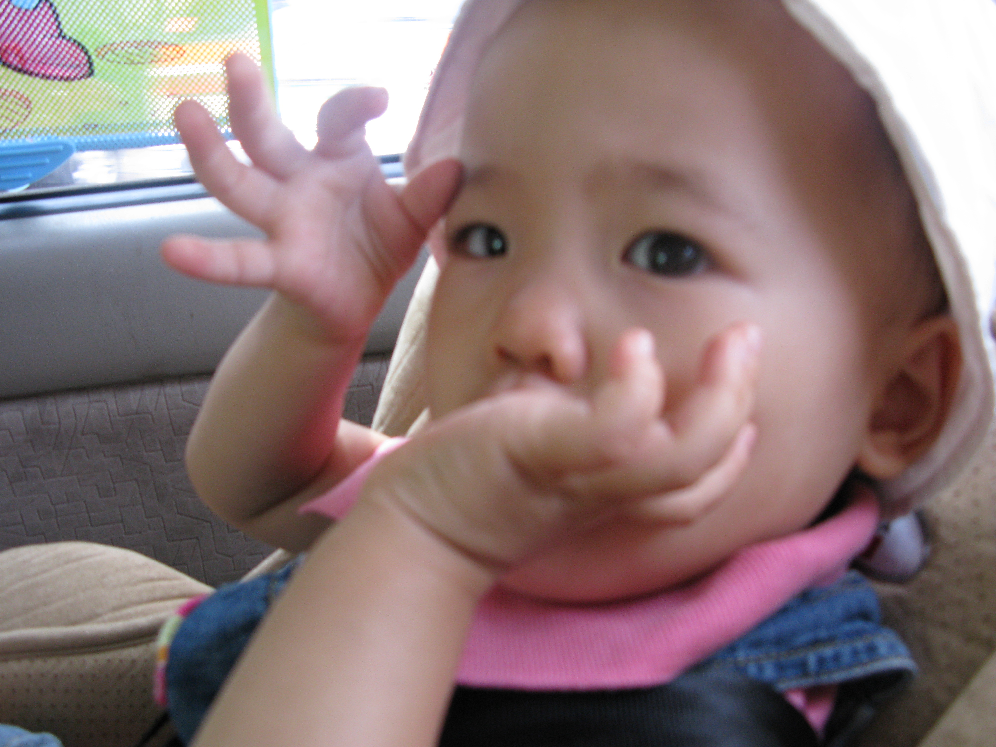 2008-08-24 오후 2-01-32.JPG