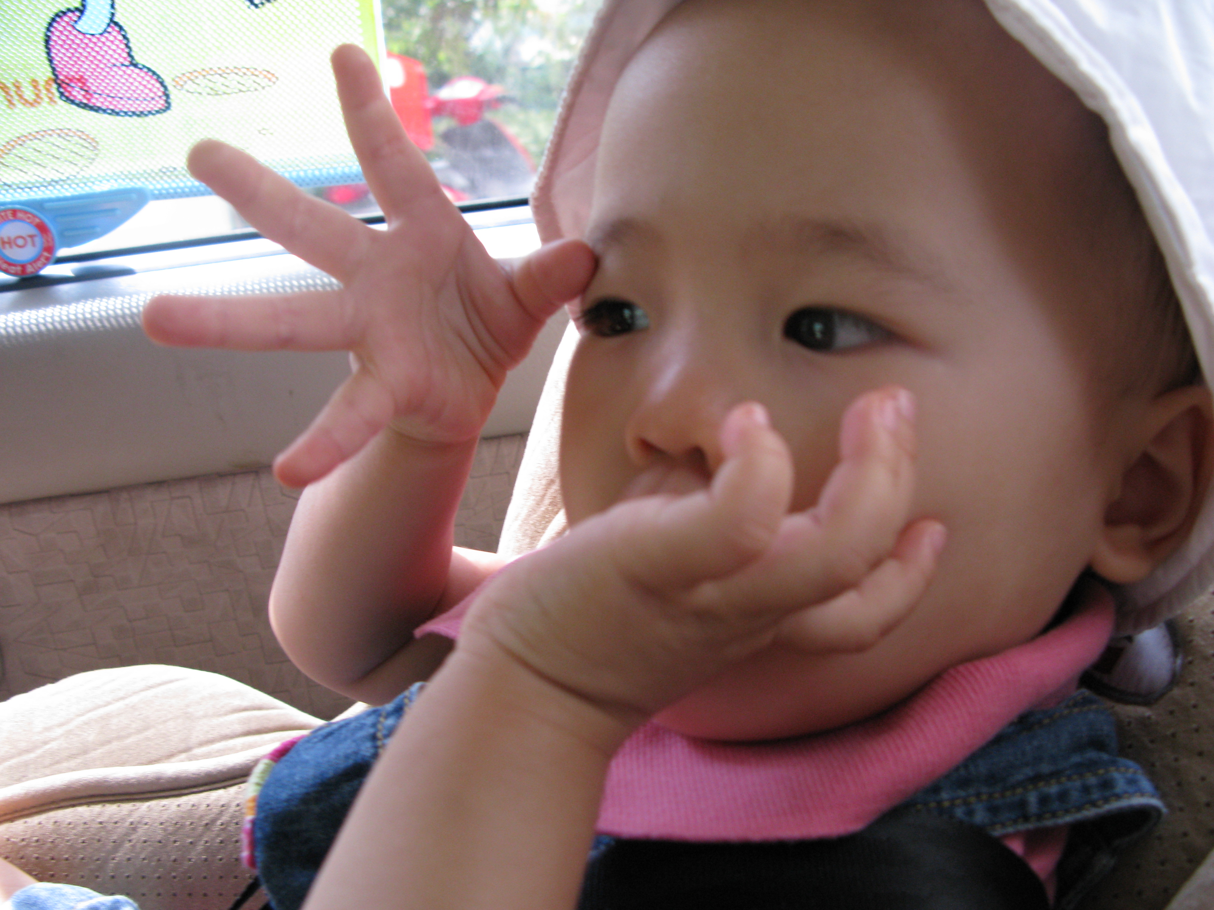 2008-08-24 오후 2-01-37.JPG