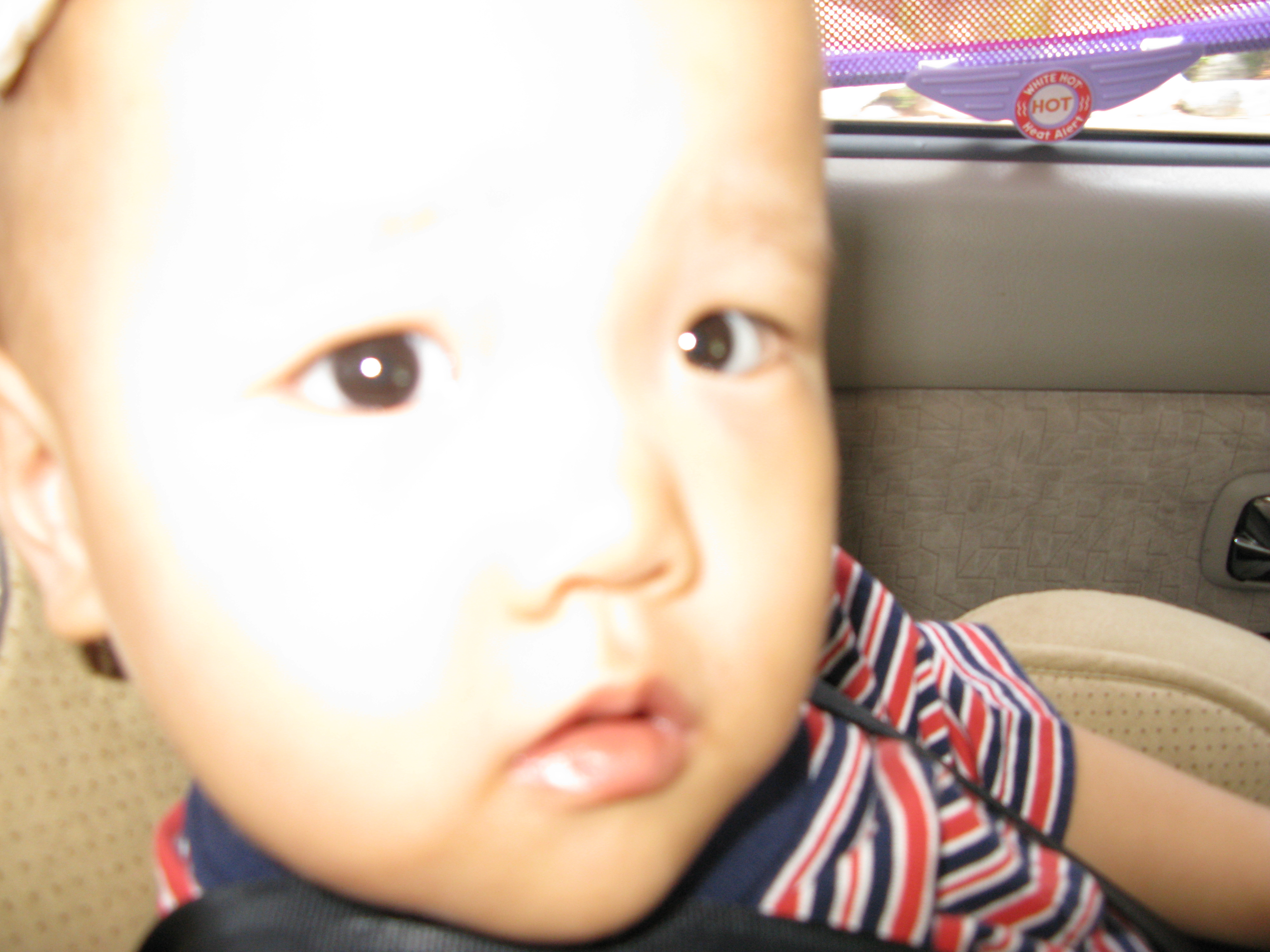 2008-08-24 오후 2-01-50.JPG