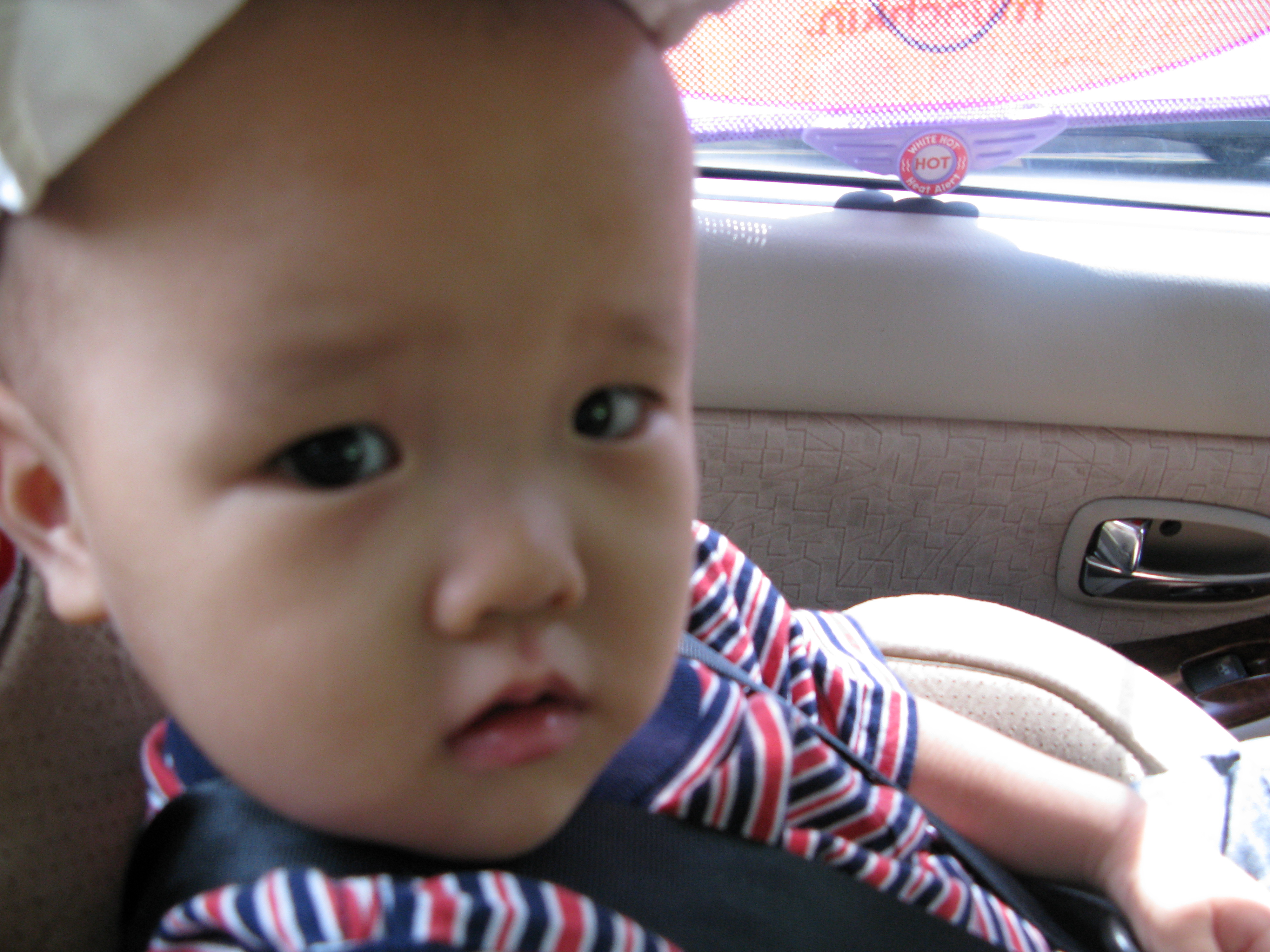 2008-08-24 오후 2-02-01.JPG