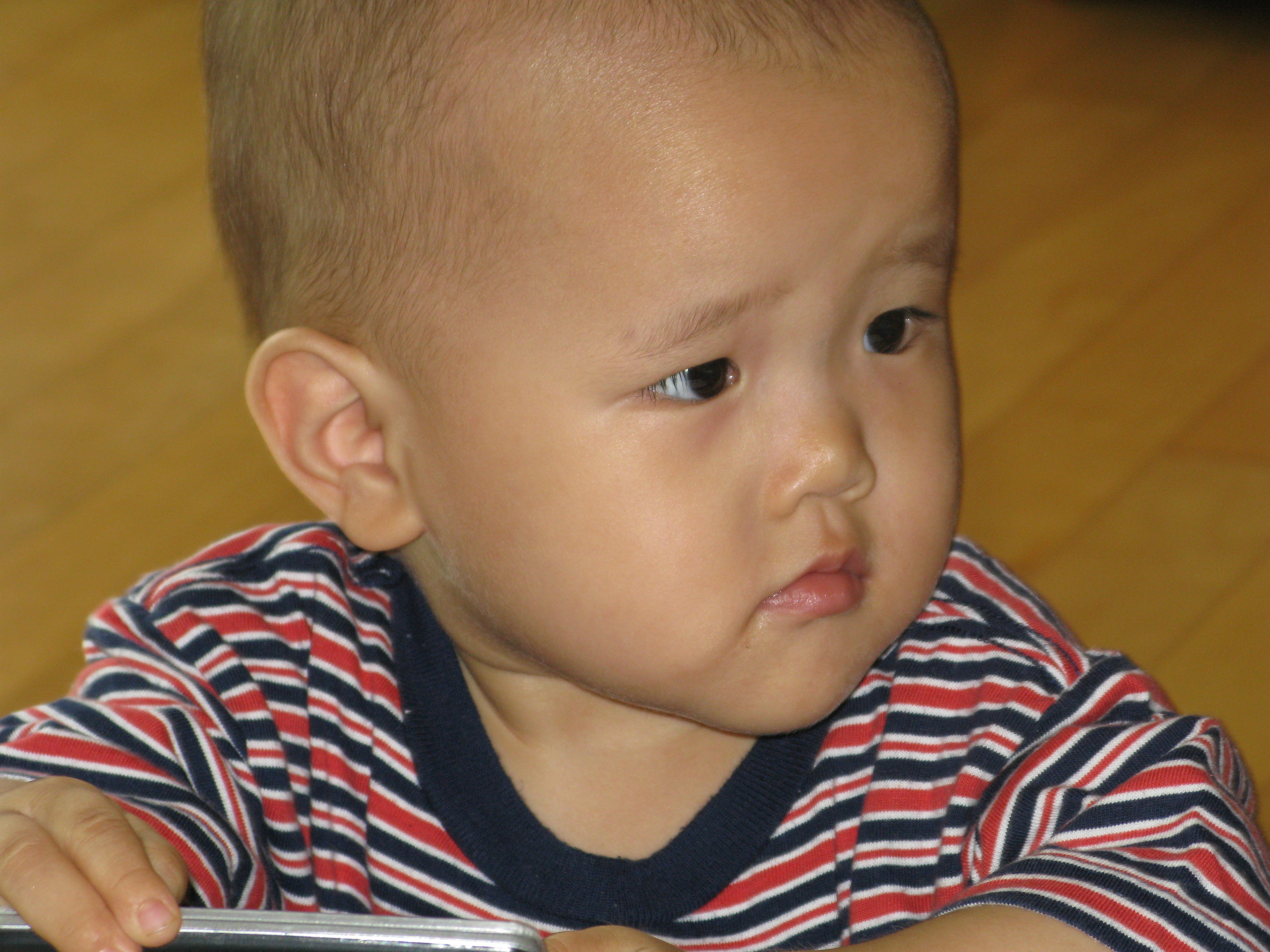 2008-08-24 오후 3-19-54.JPG