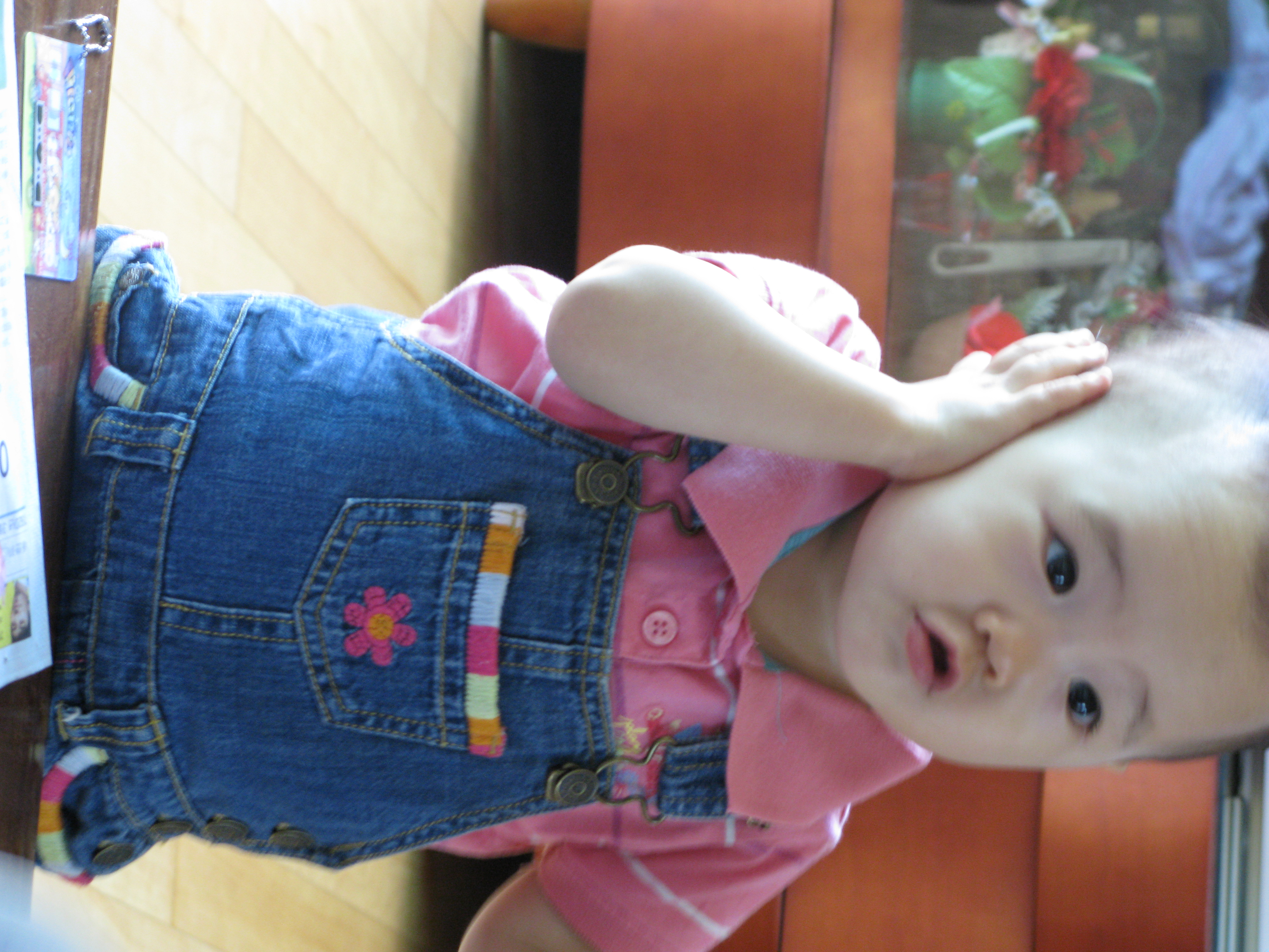 2008-08-24 오후 3-23-36.JPG