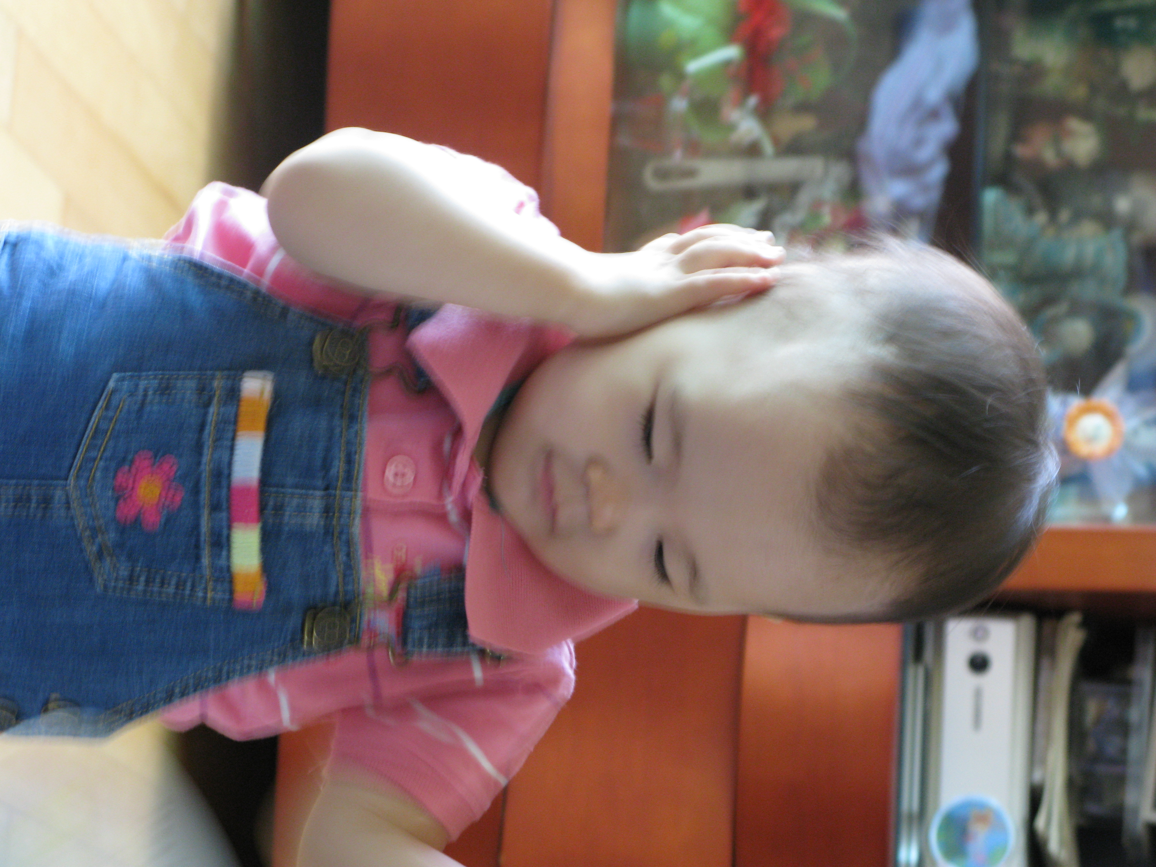 2008-08-24 오후 3-23-40.JPG