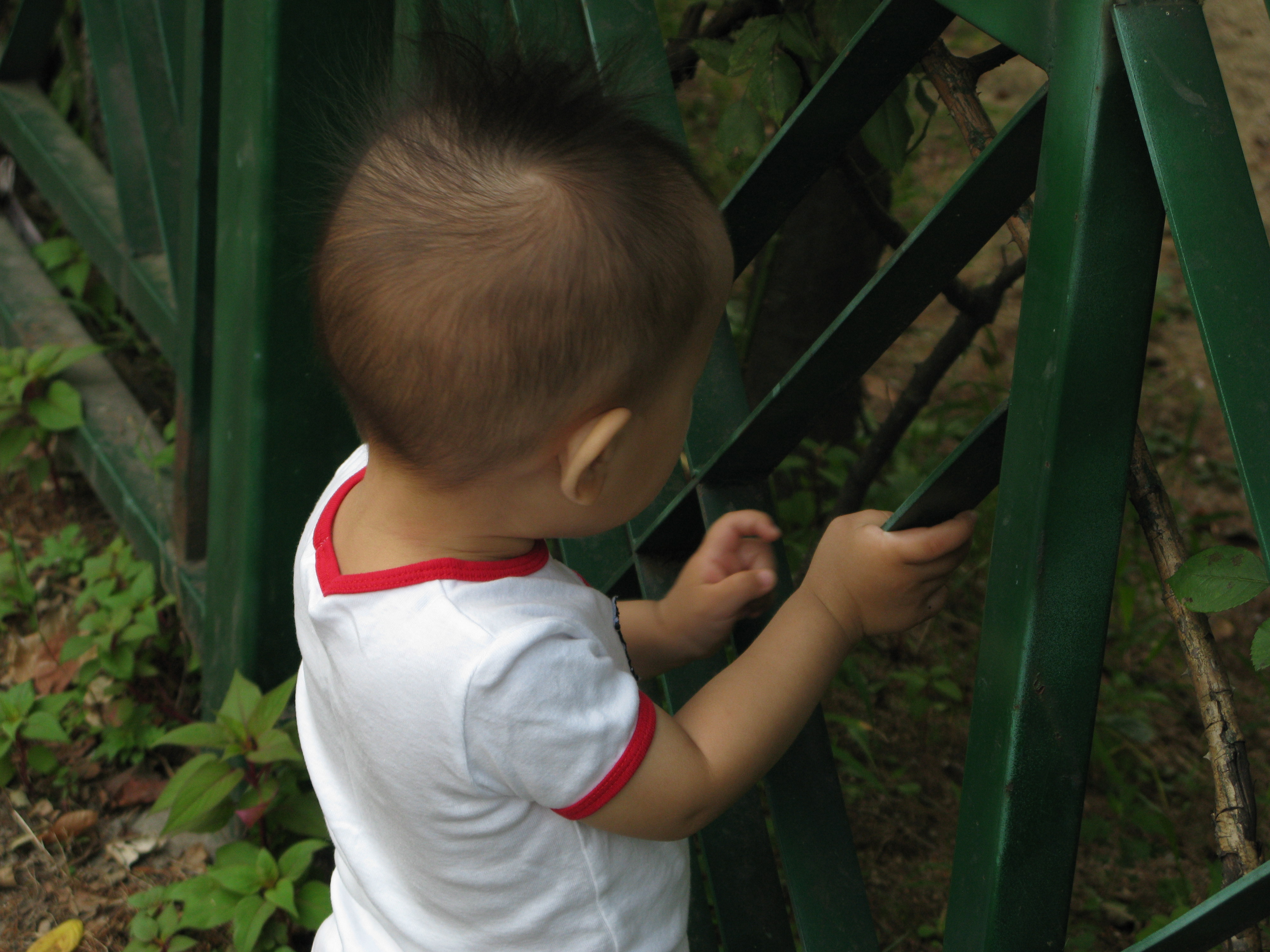 2008-08-31 오전 9-13-58.JPG
