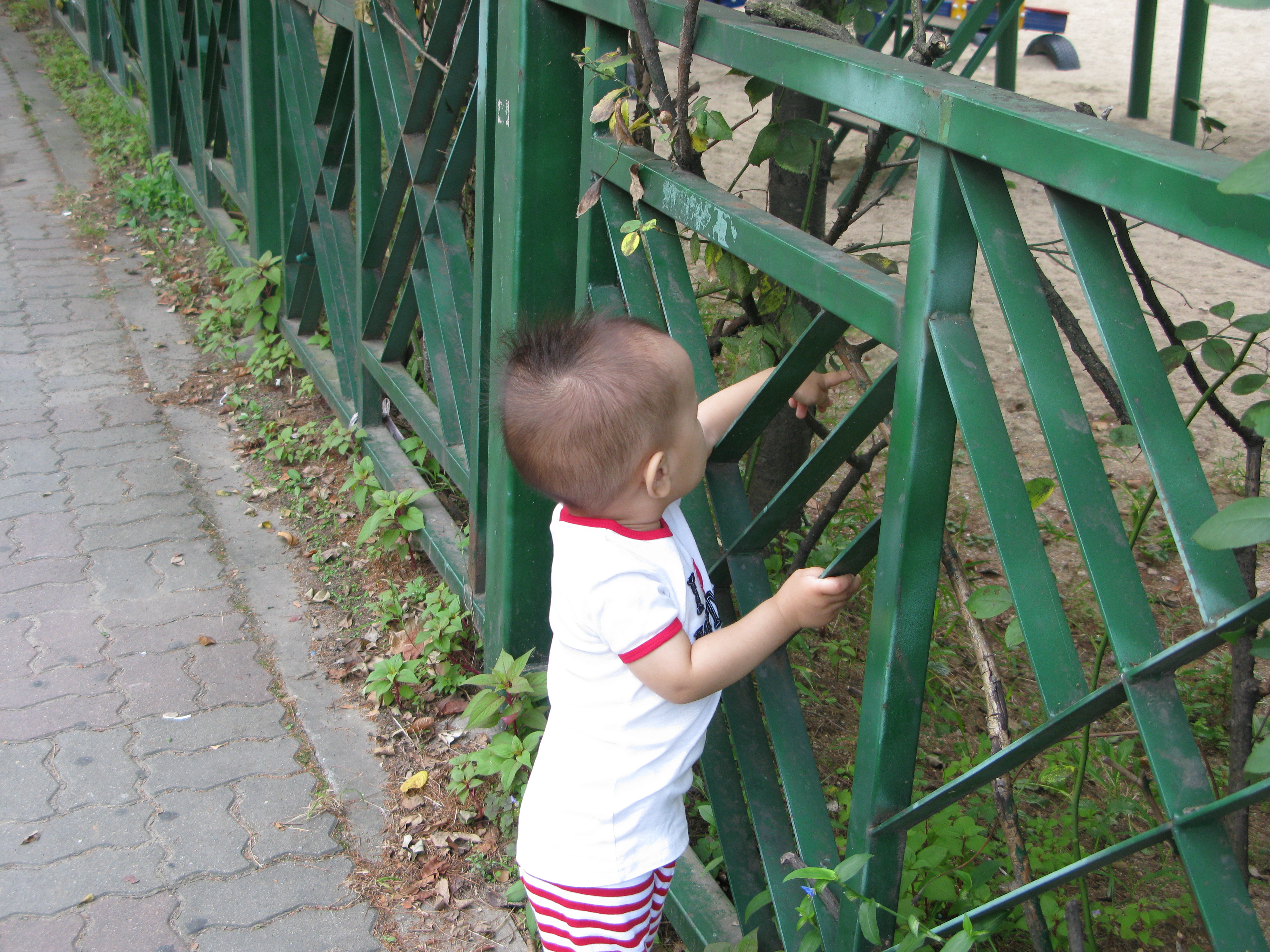 2008-08-31 오전 9-14-05.JPG