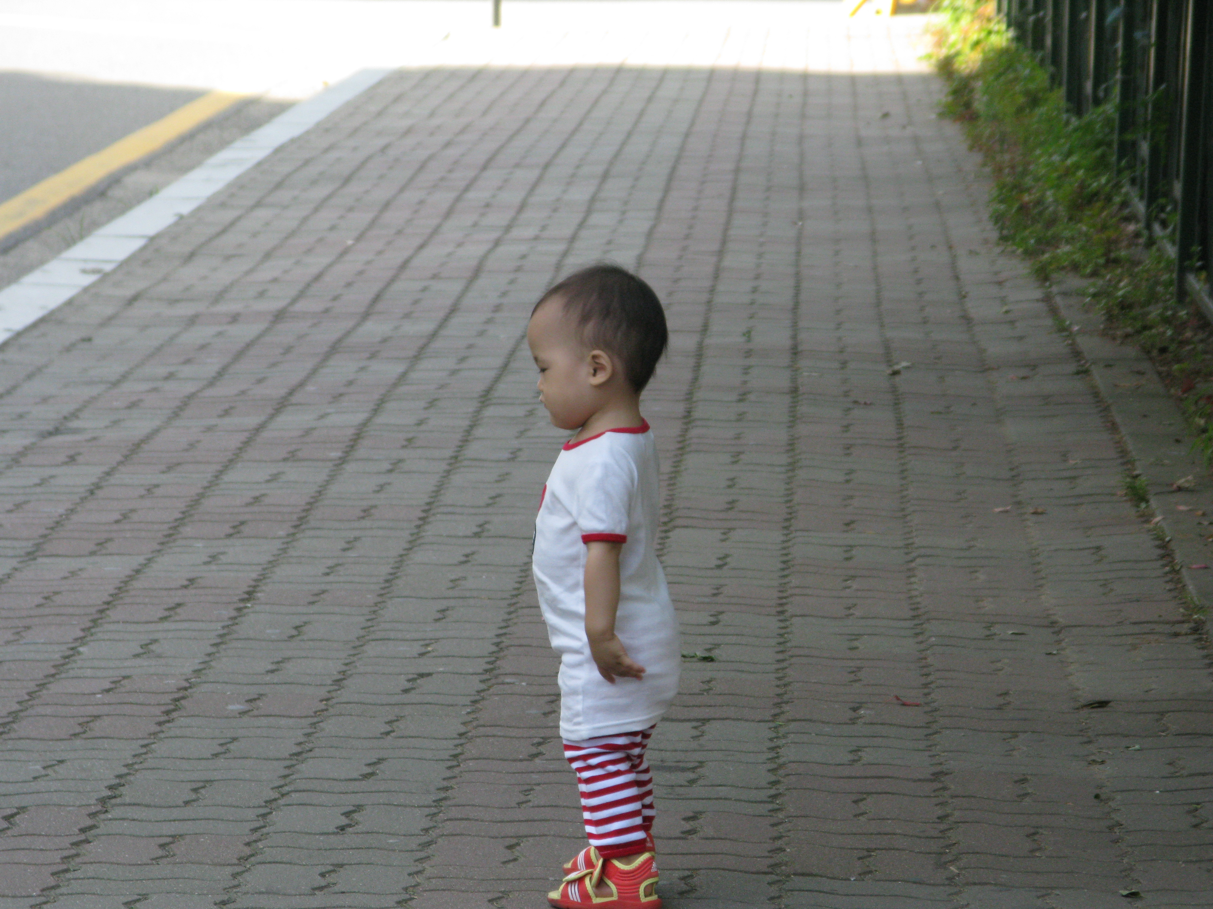 2008-08-31 오전 9-14-12.JPG