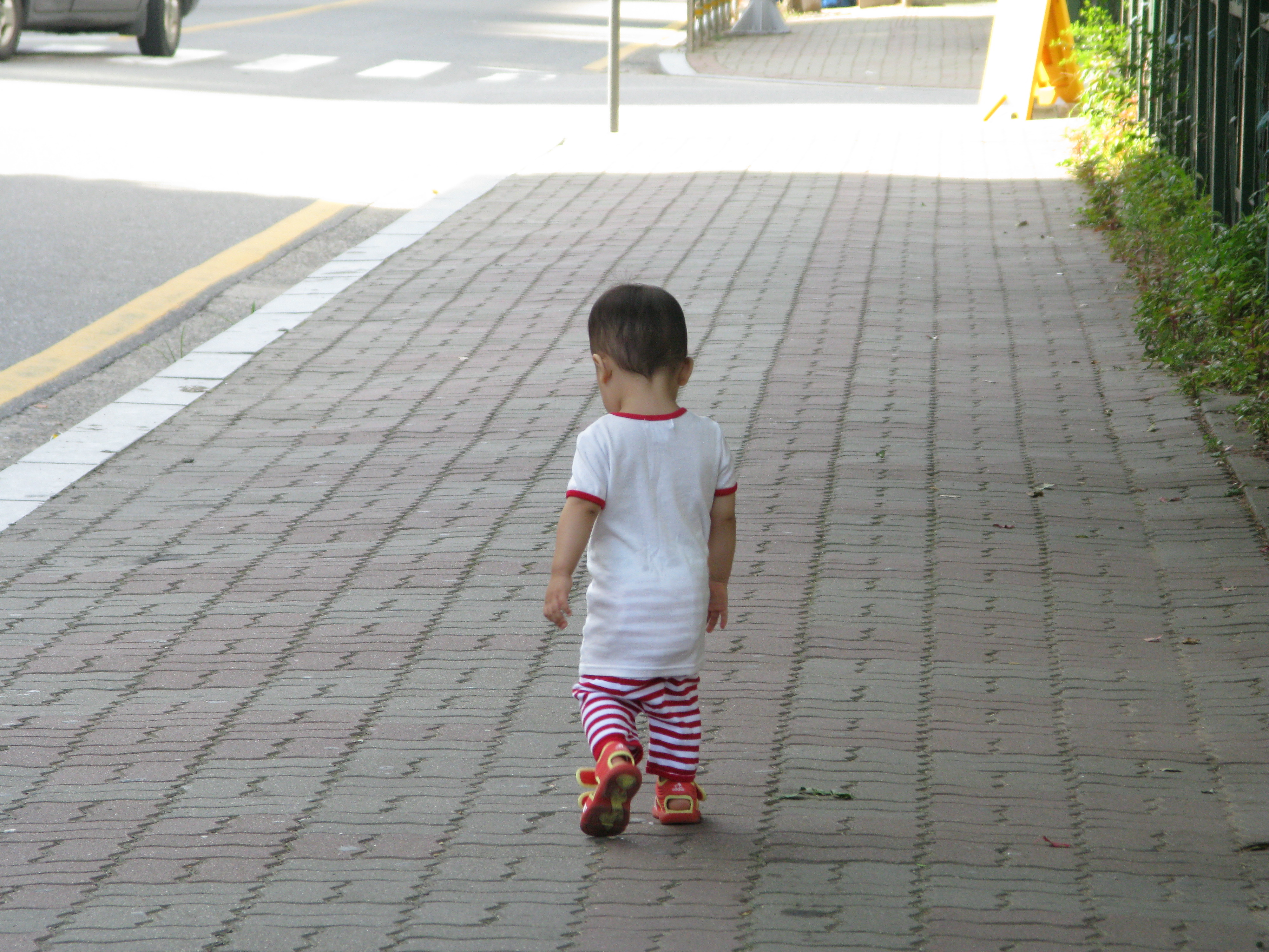 2008-08-31 오전 9-14-16.JPG