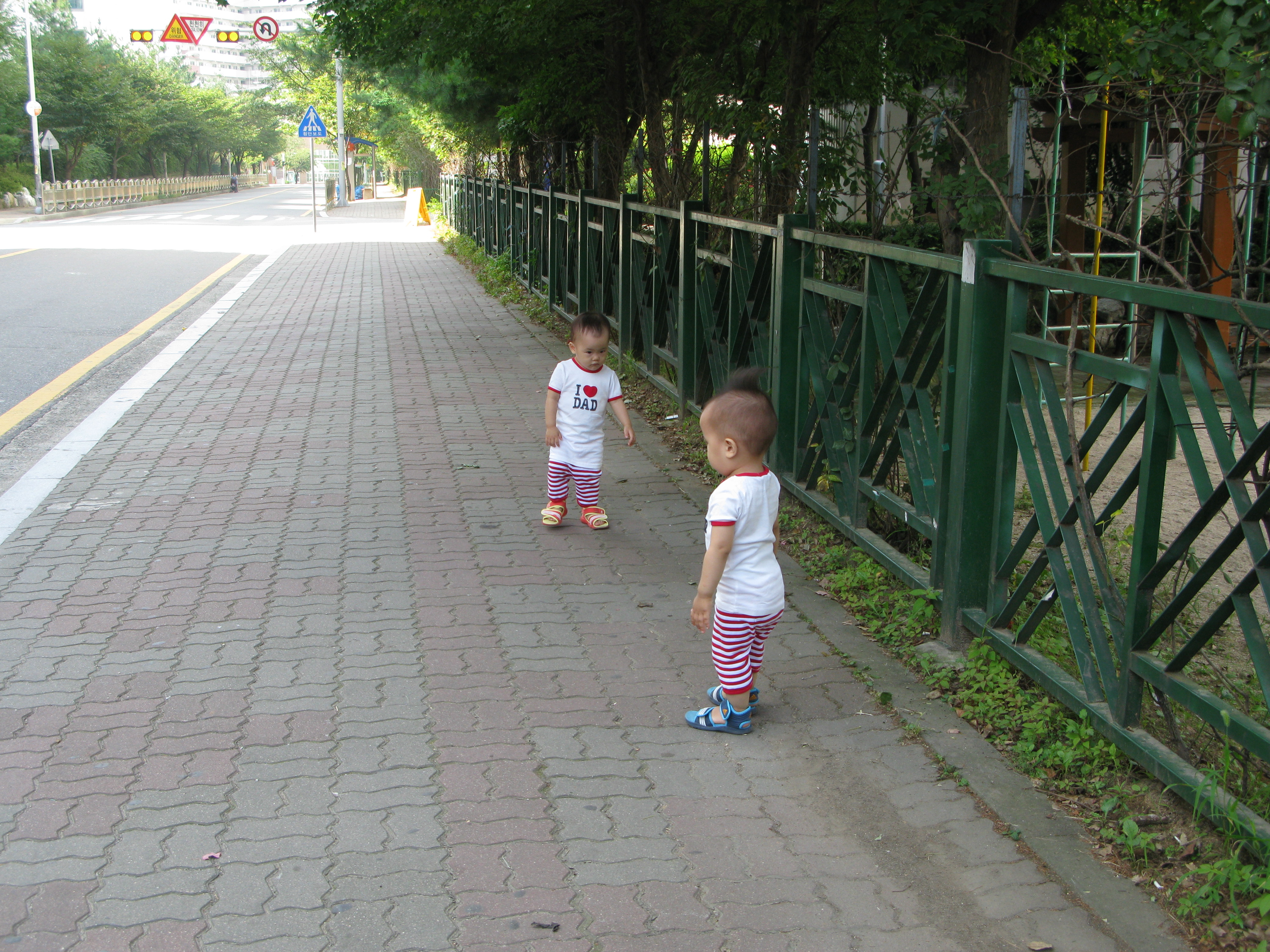 2008-08-31 오전 9-14-36.JPG