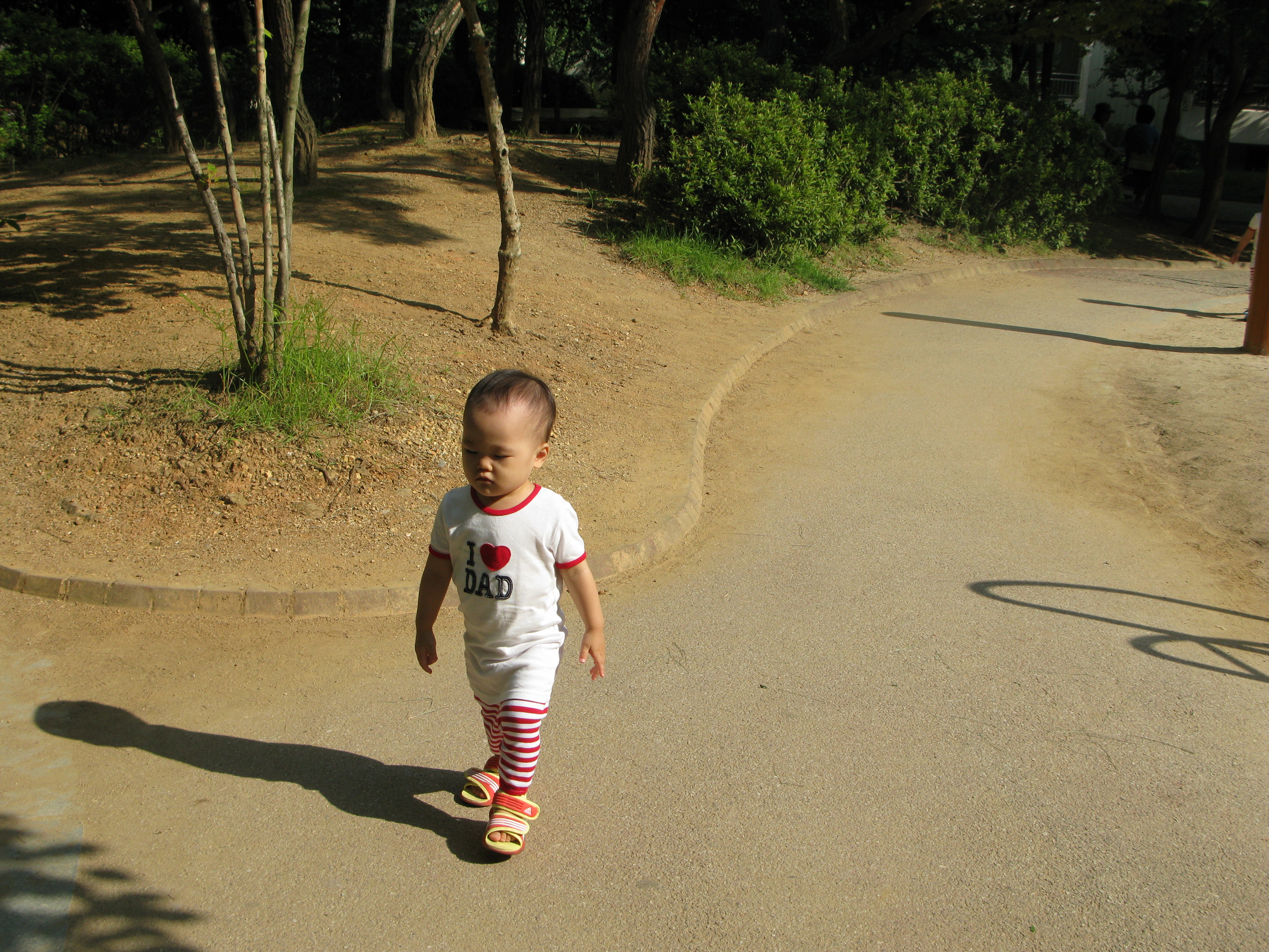 2008-08-31 오전 9-17-36.JPG