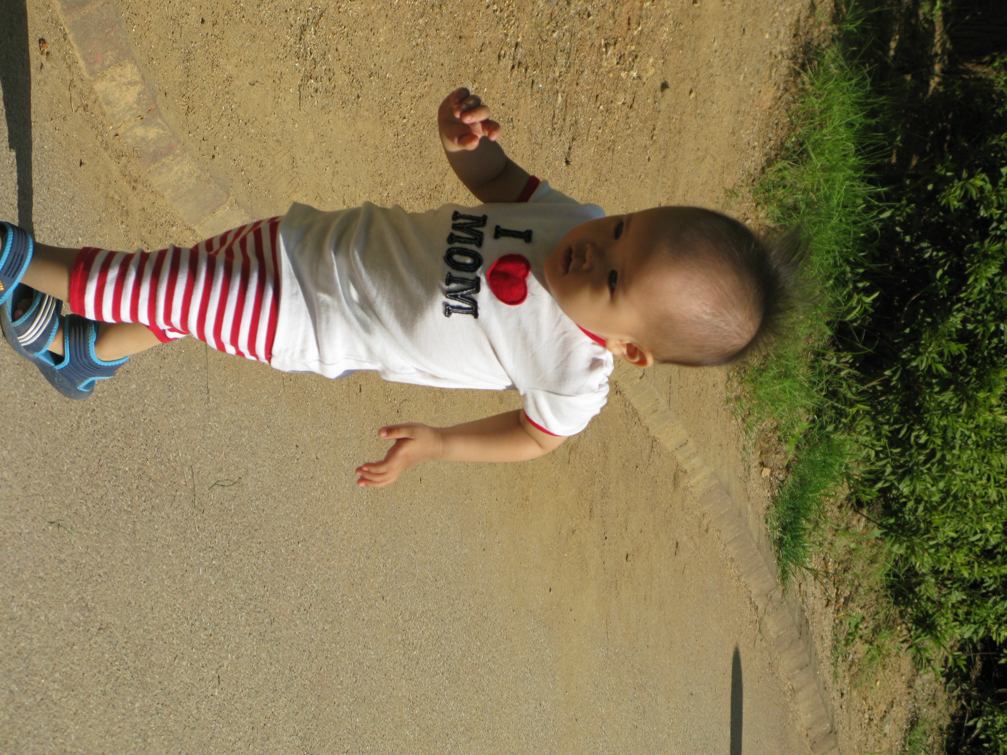 2008-08-31 오전 9-17-48.JPG