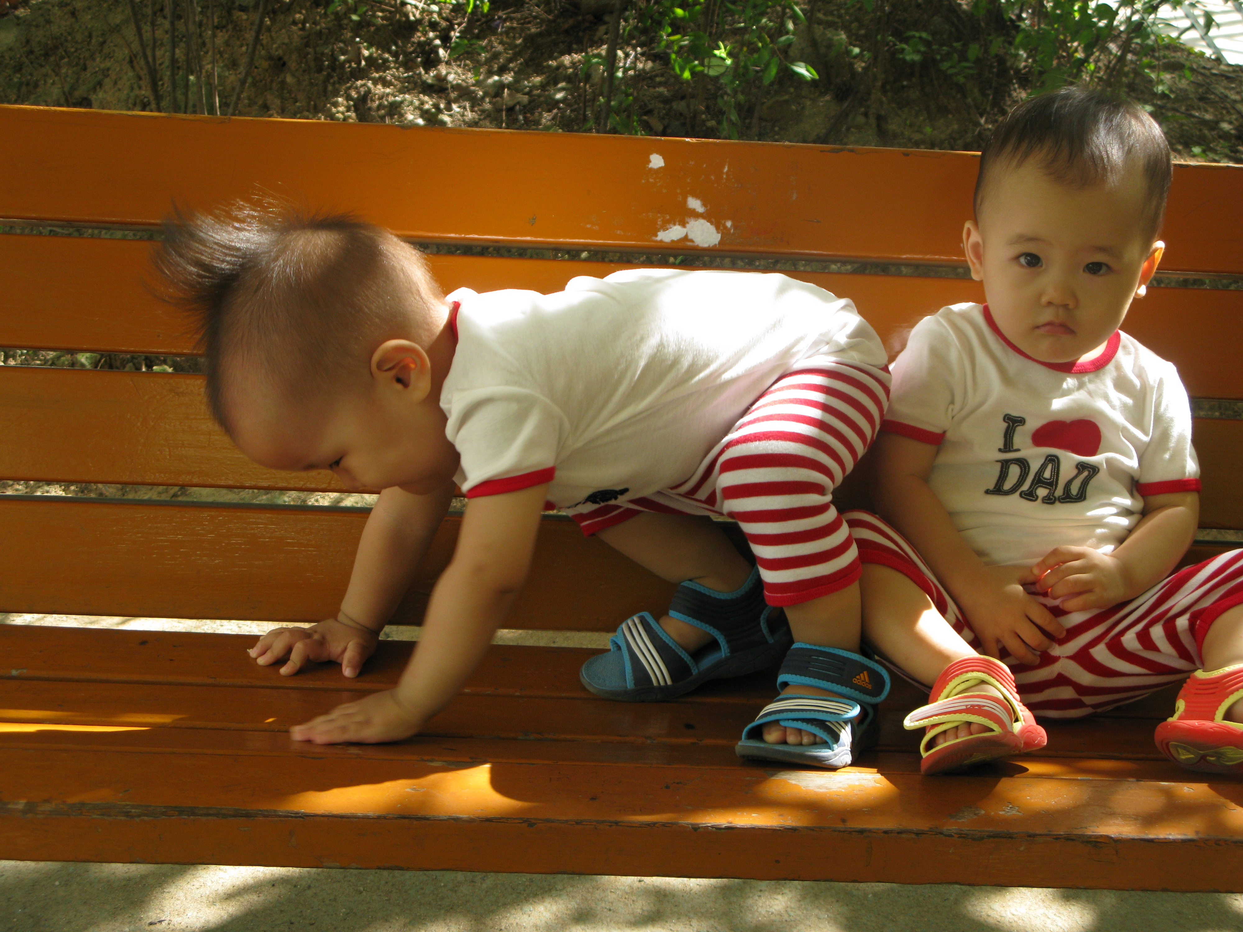 2008-08-31 오전 9-24-26.JPG