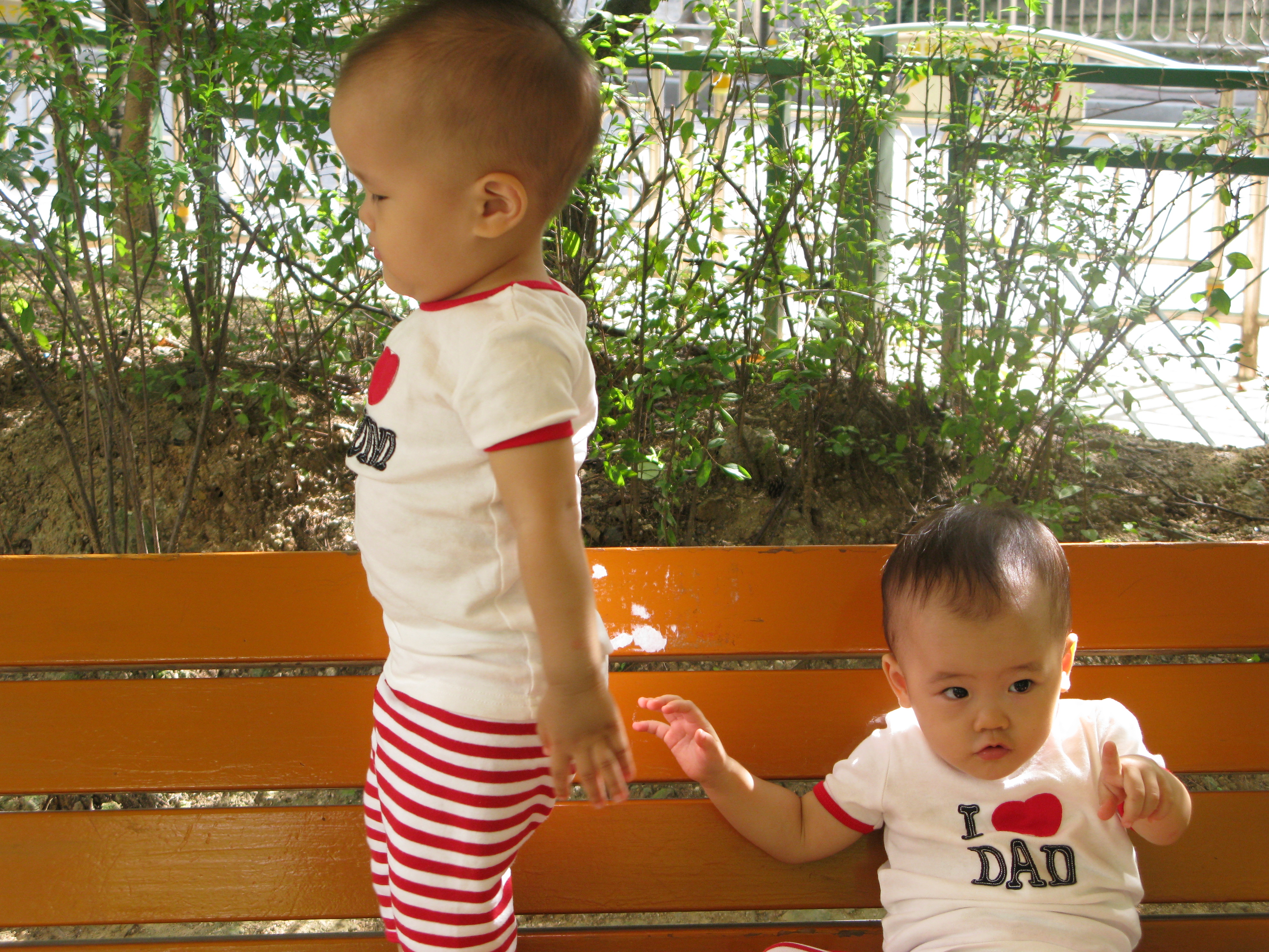 2008-08-31 오전 9-24-32.JPG