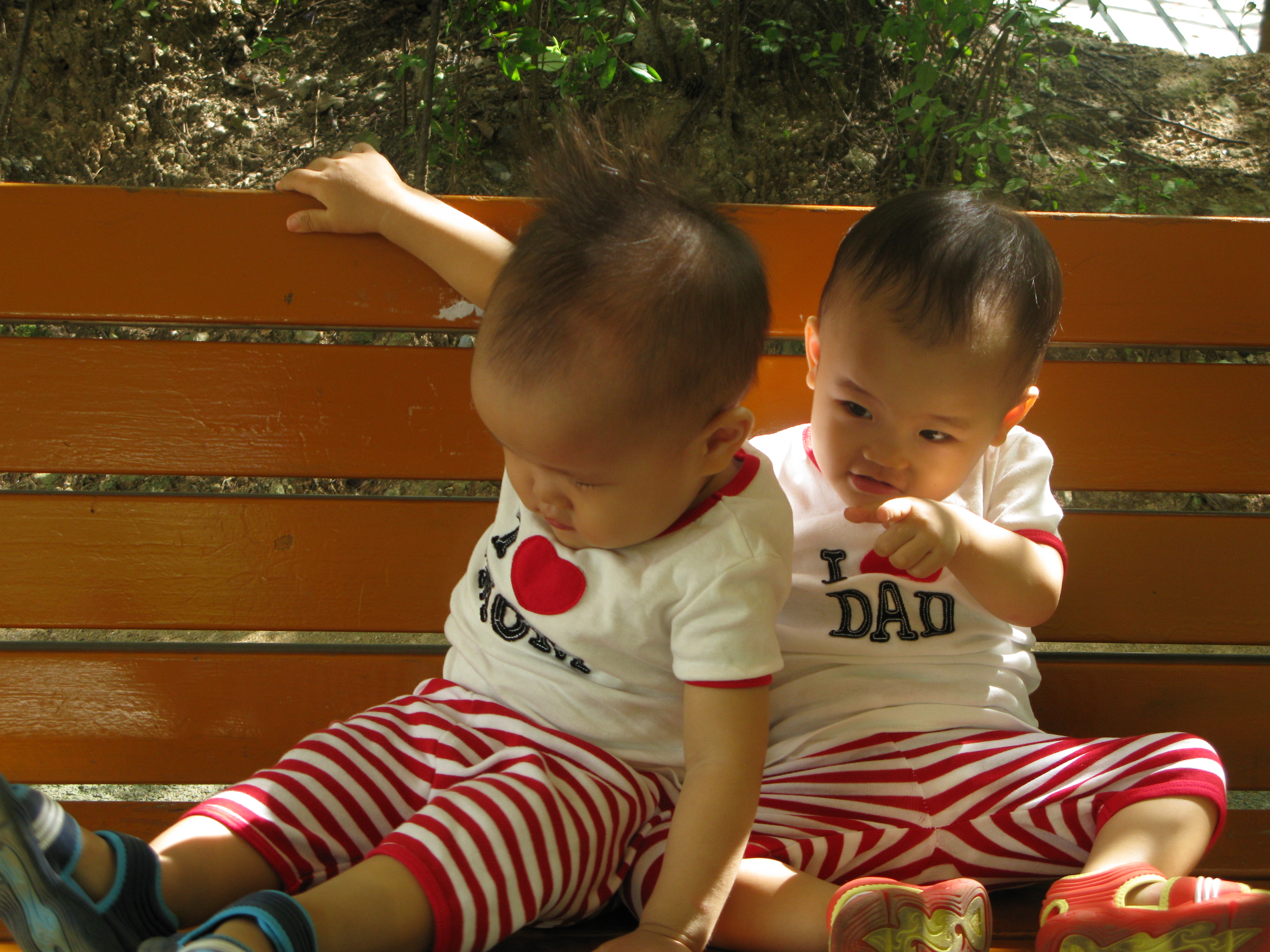 2008-08-31 오전 9-24-37.JPG