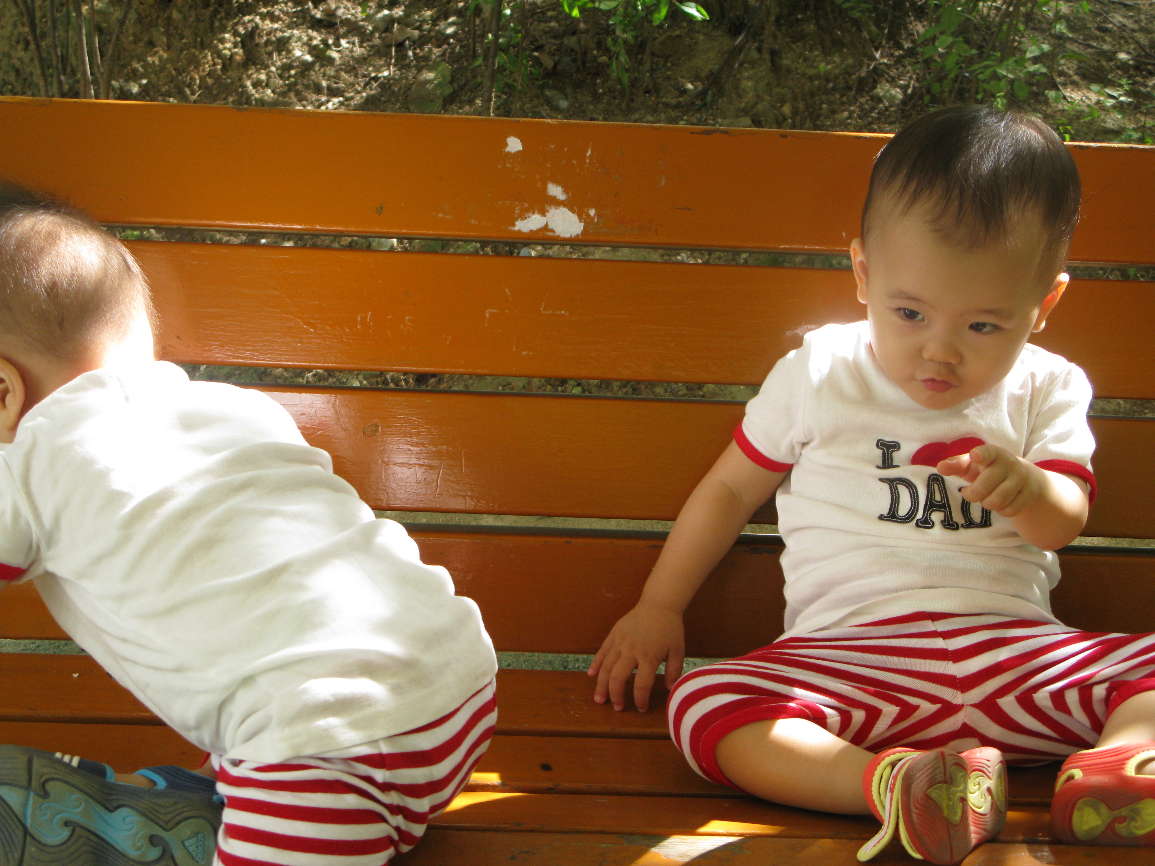 2008-08-31 오전 9-24-39.JPG
