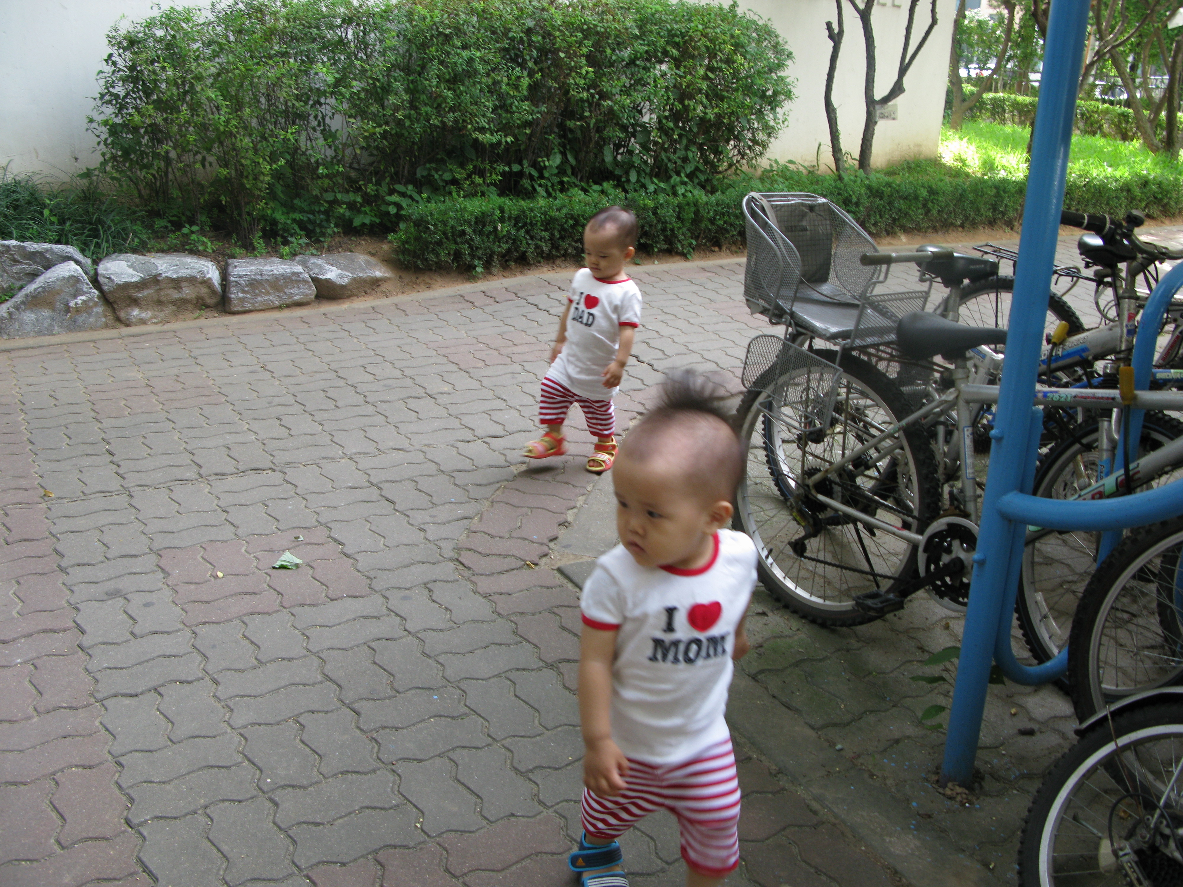 2008-08-31 오전 9-32-14.JPG