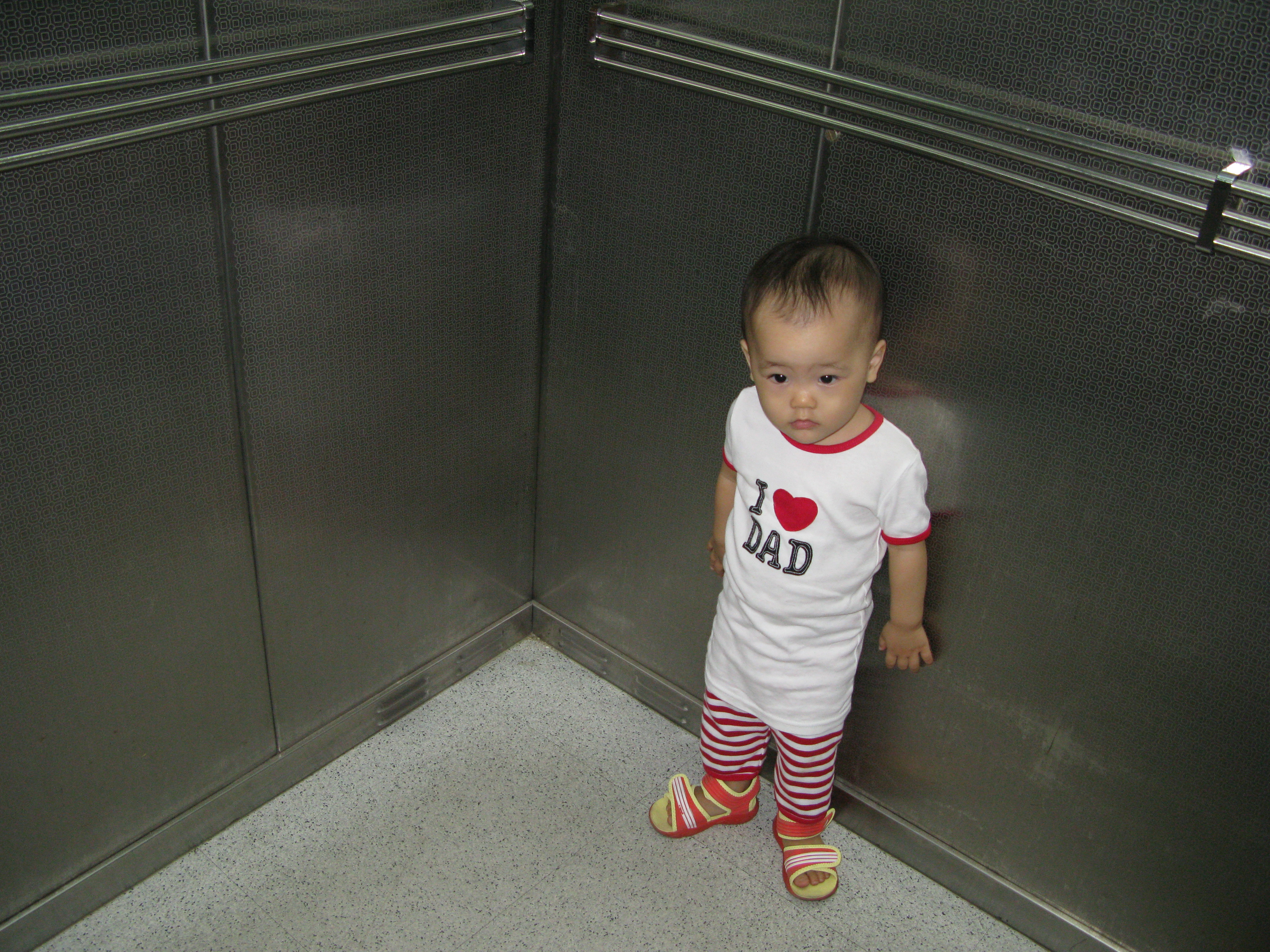 2008-08-31 오전 9-35-00.JPG