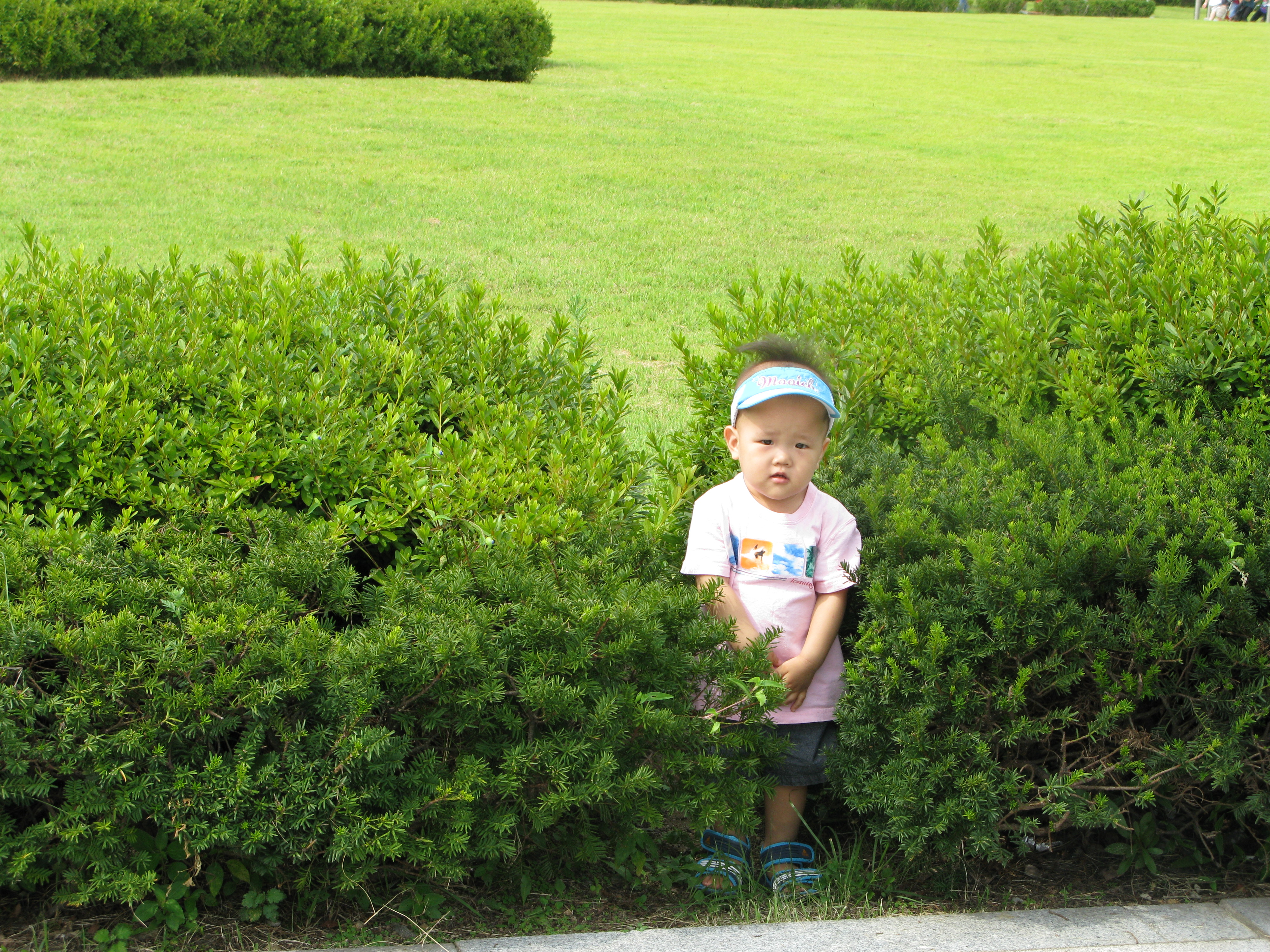 2008-08-31 오후 2-46-38.JPG