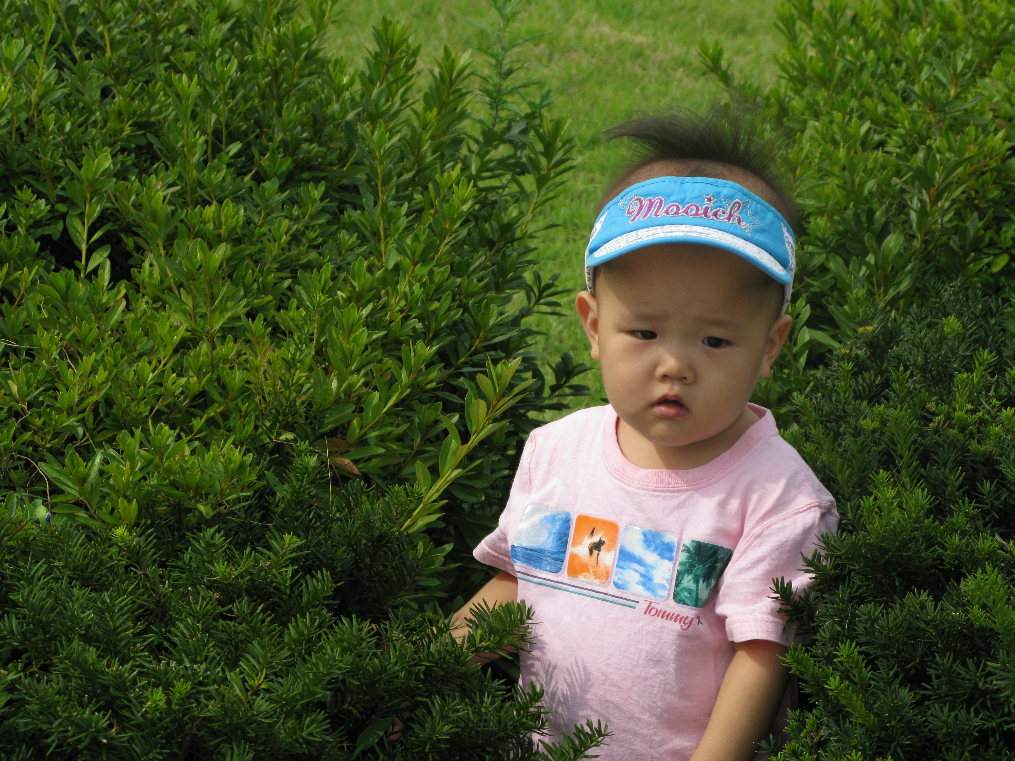 2008-08-31 오후 2-46-51.JPG