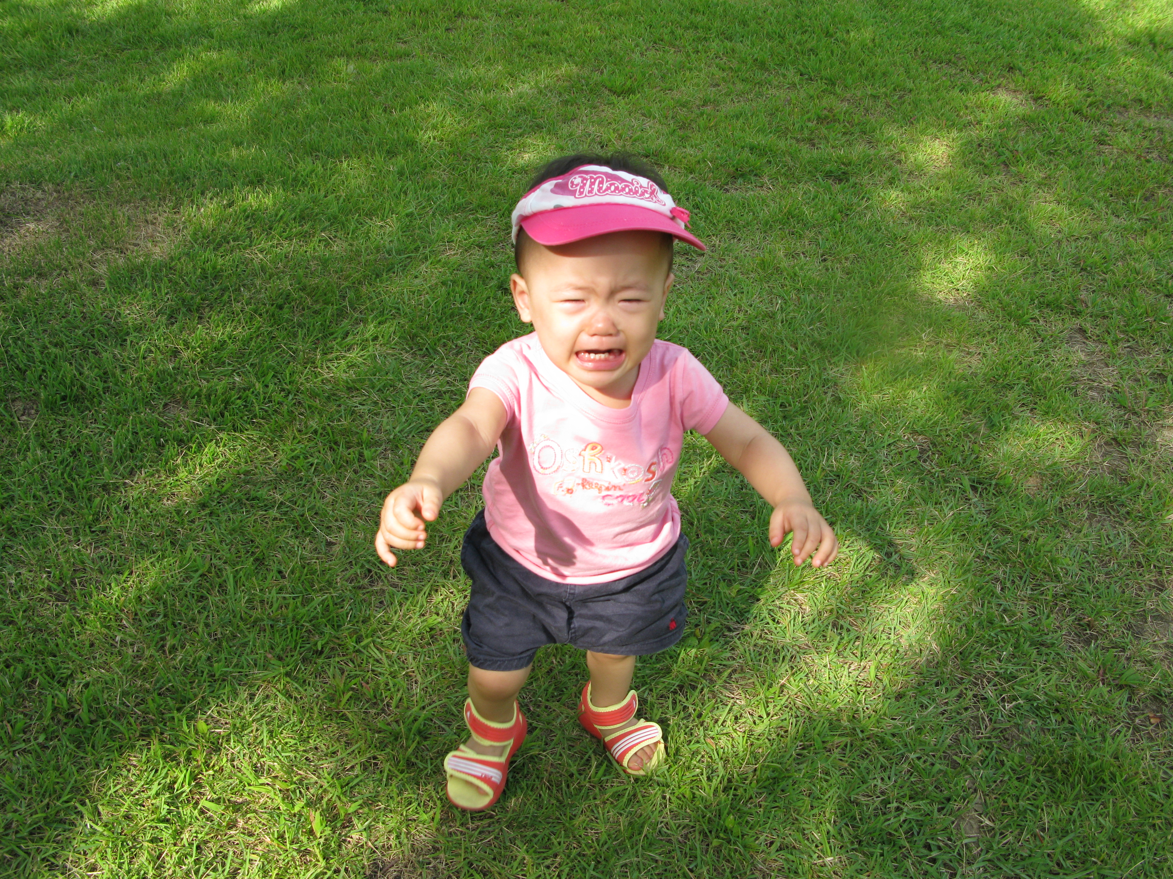 2008-08-31 오후 3-29-01.JPG