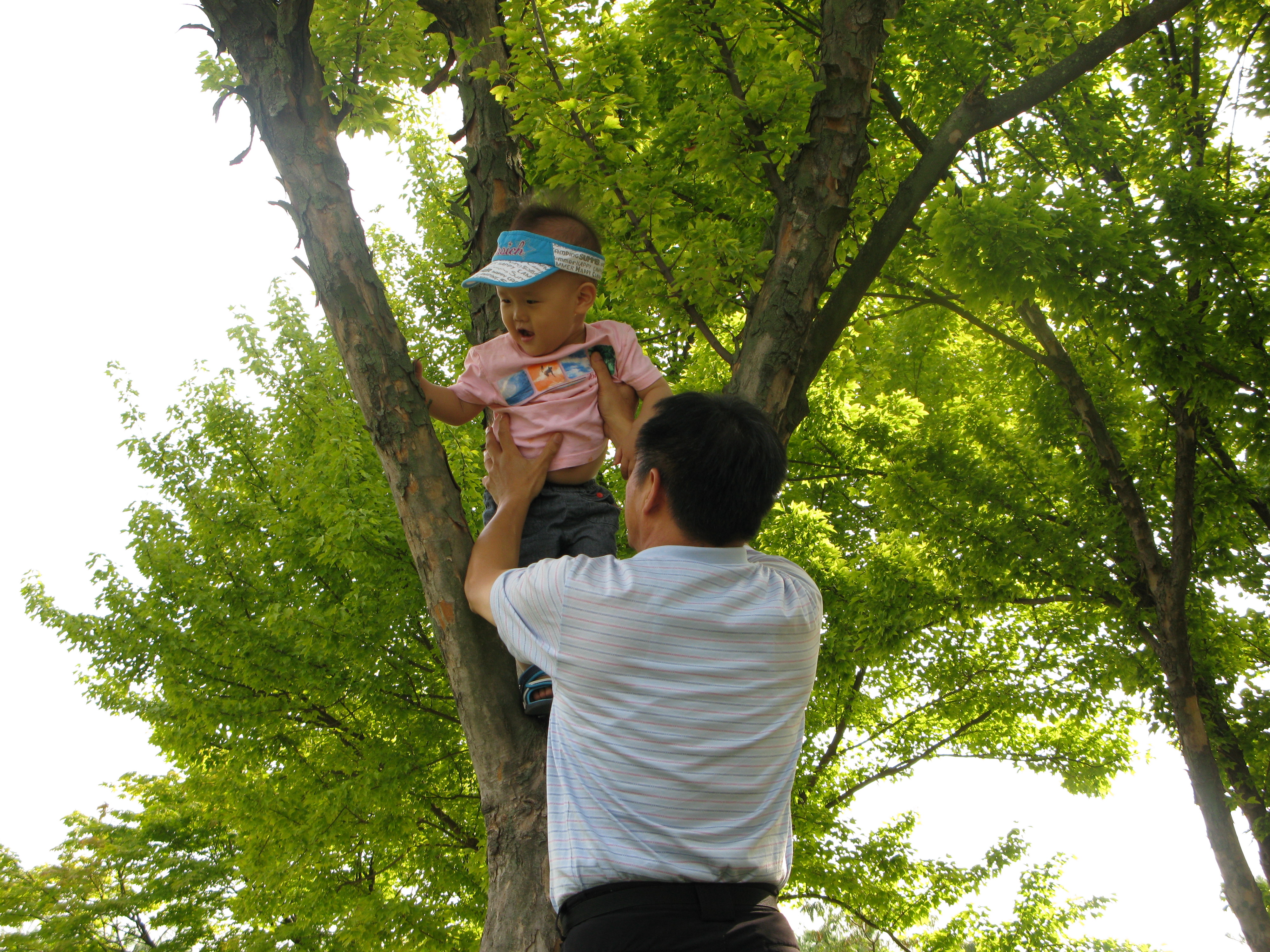 2008-08-31 오후 4-01-56.JPG
