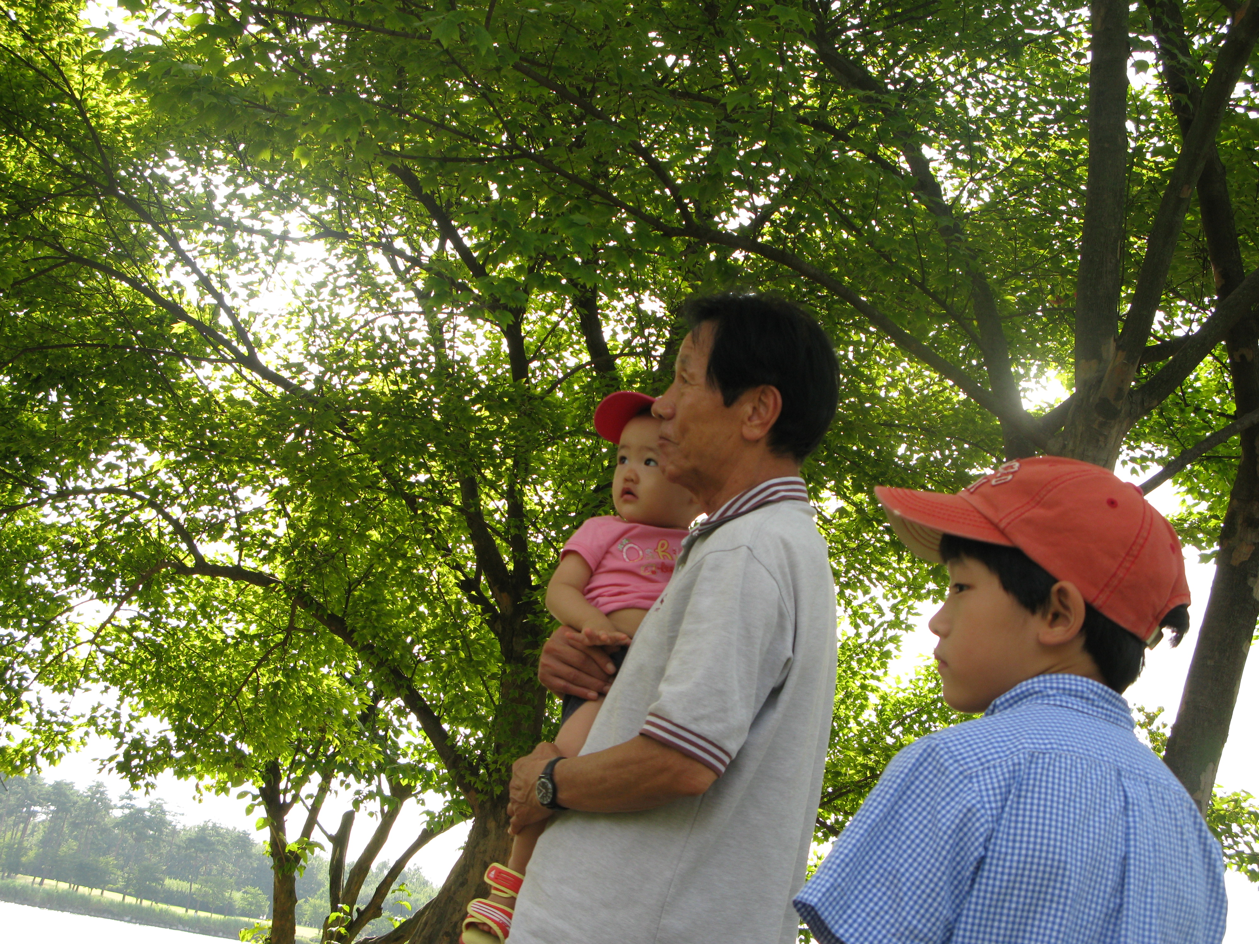 2008-08-31 오후 4-02-07.JPG