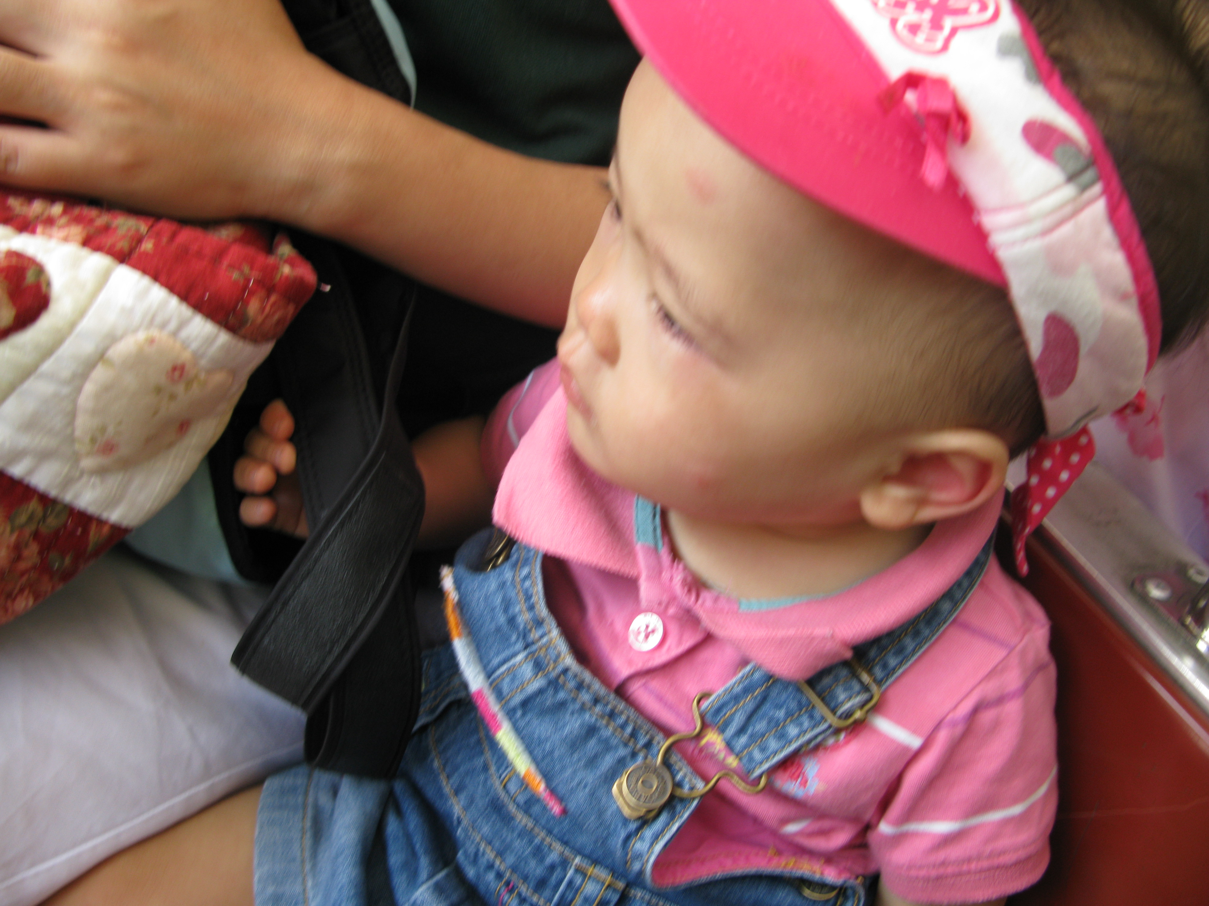 2008-09-07 오전 11-39-09.JPG
