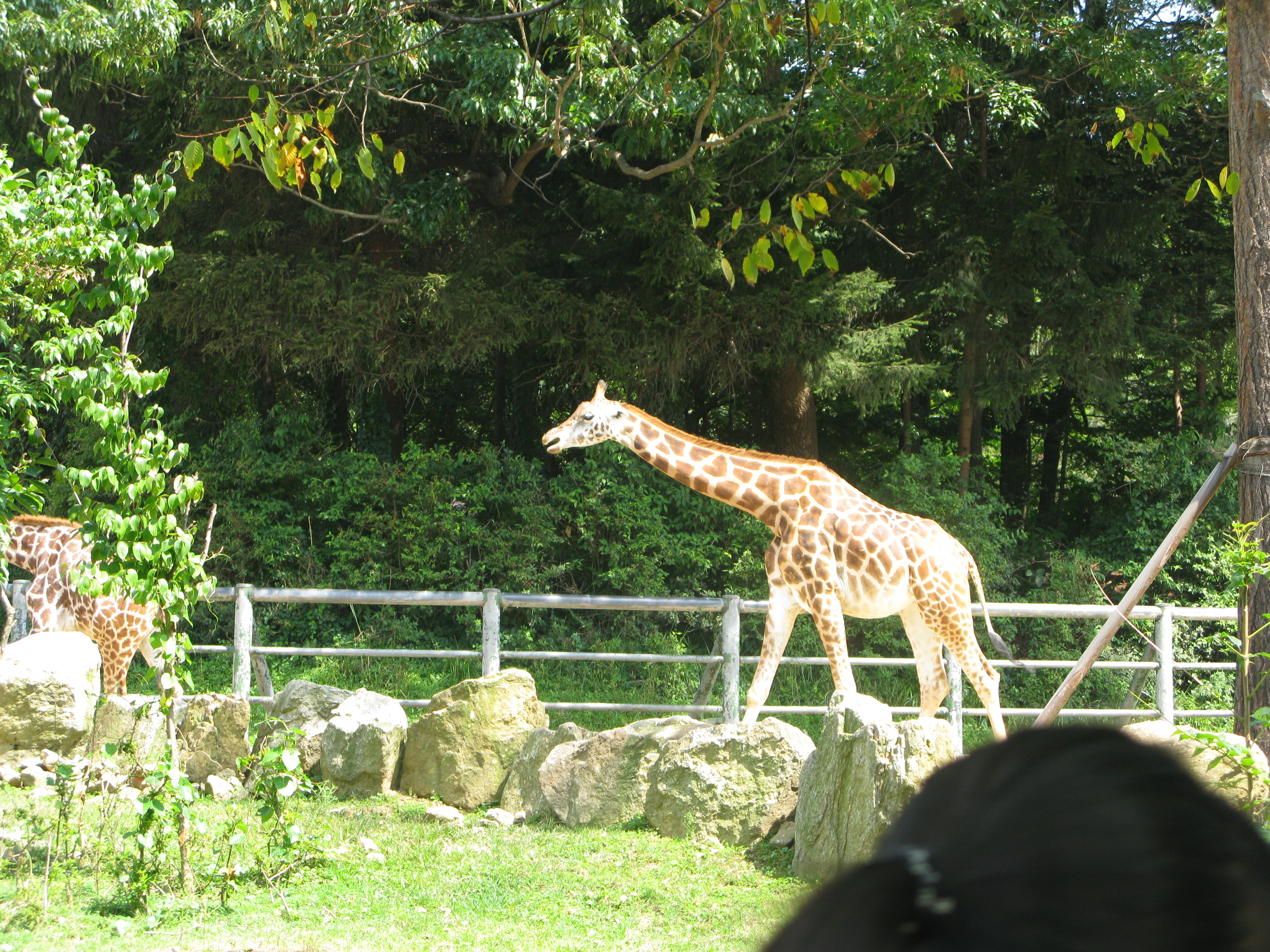 2008-09-07 오전 11-56-30.JPG