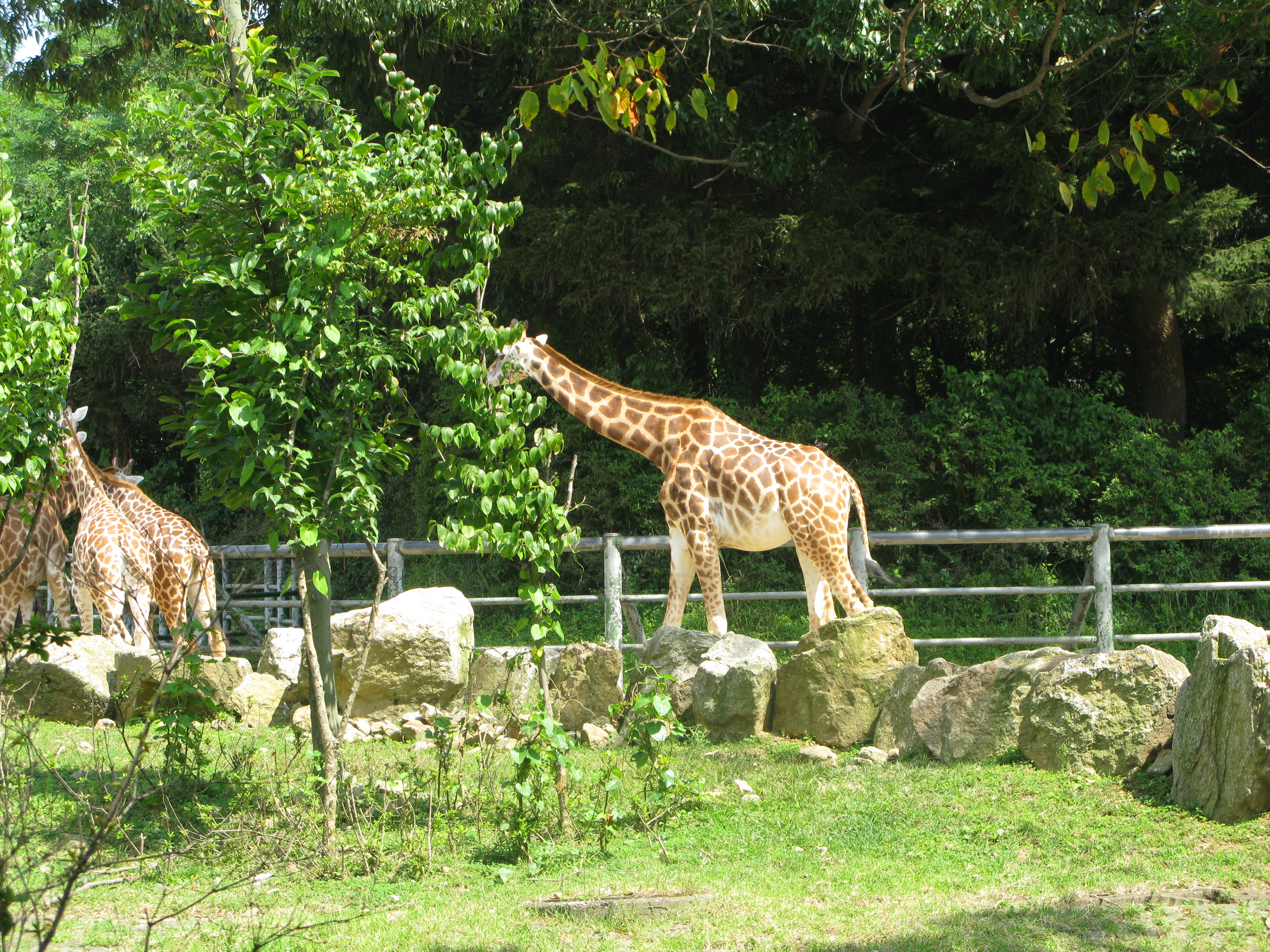 2008-09-07 오전 11-56-35.JPG