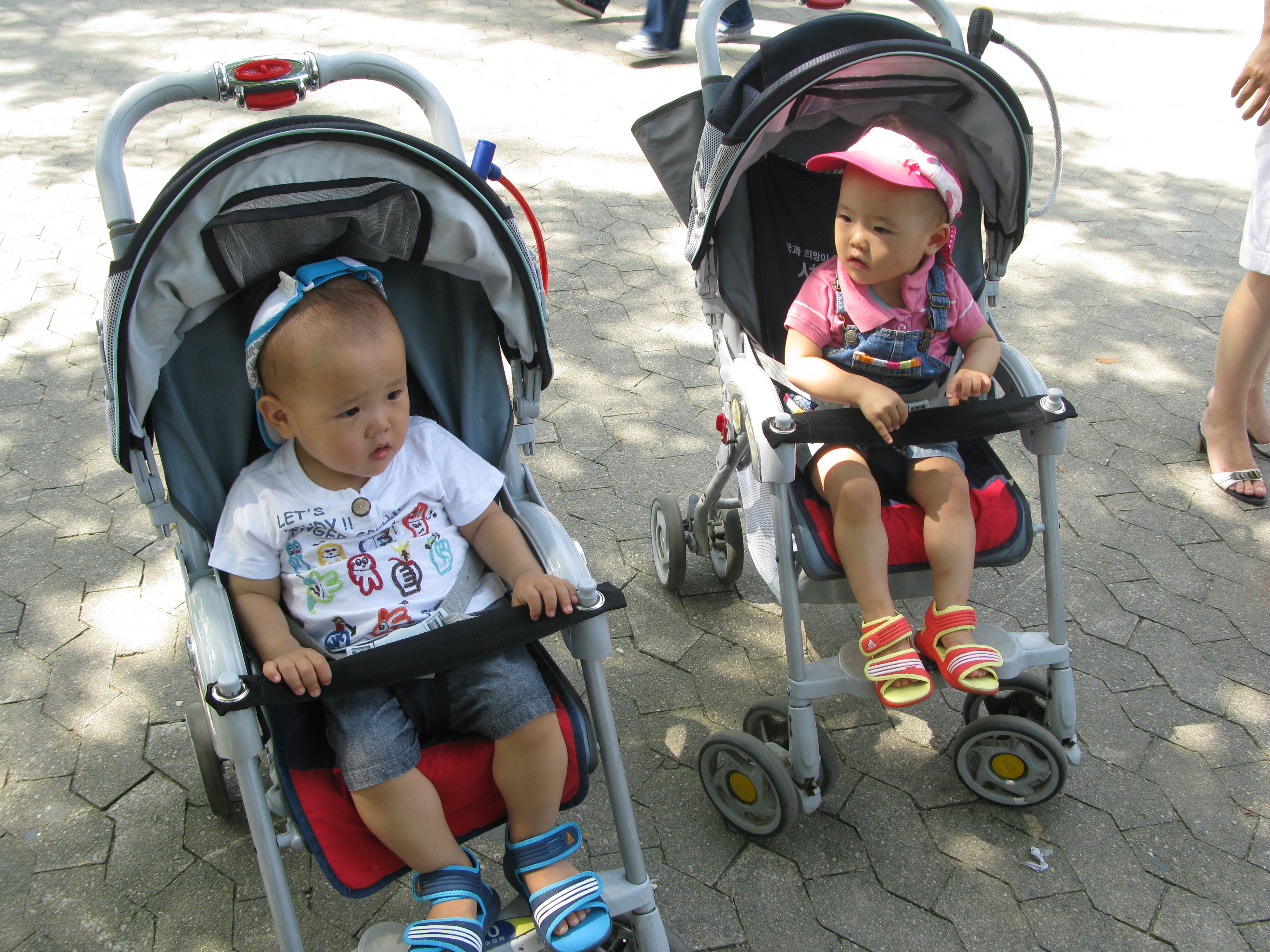 2008-09-07 오전 11-56-43.JPG