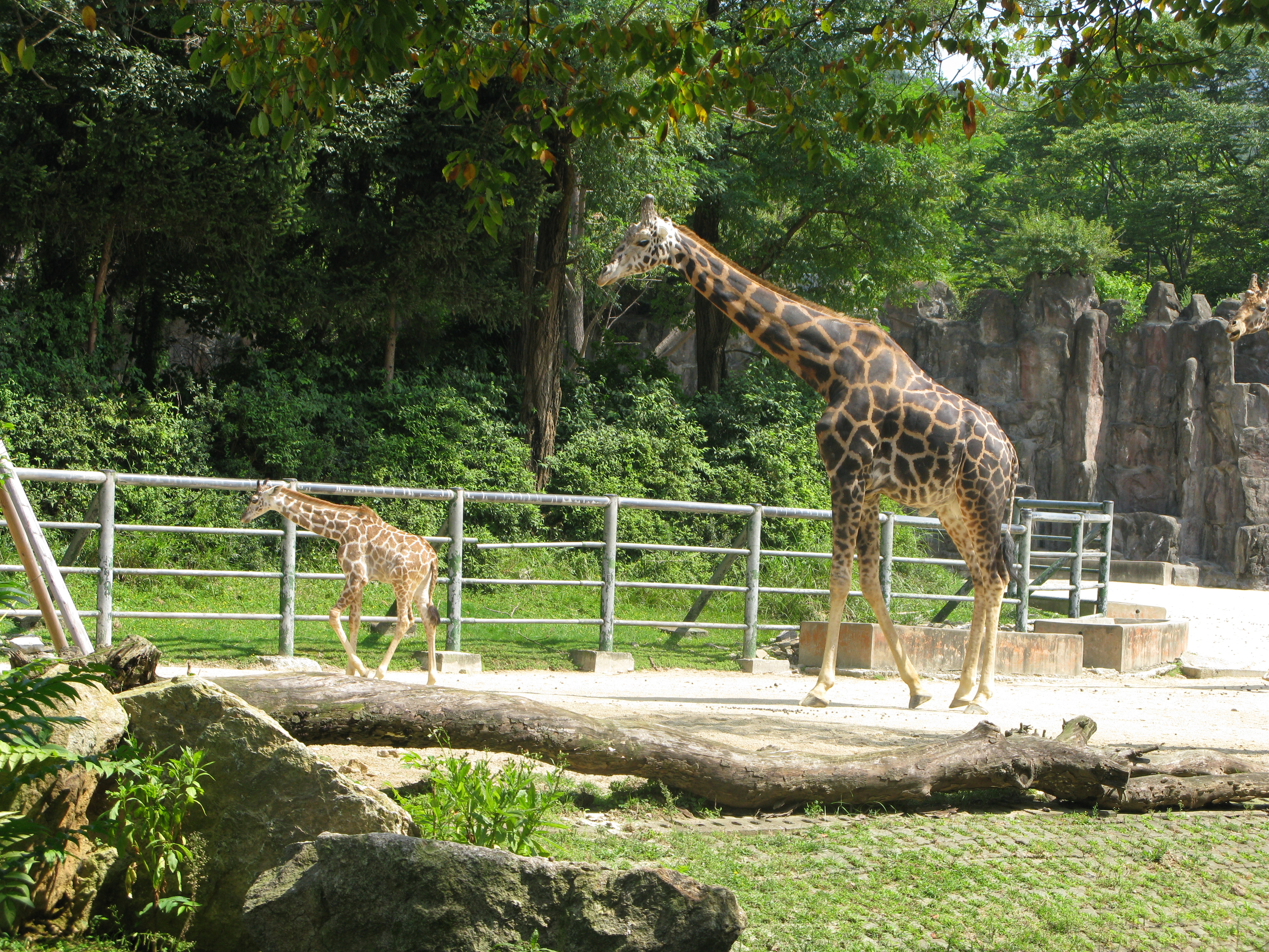 2008-09-07 오전 11-57-03.JPG