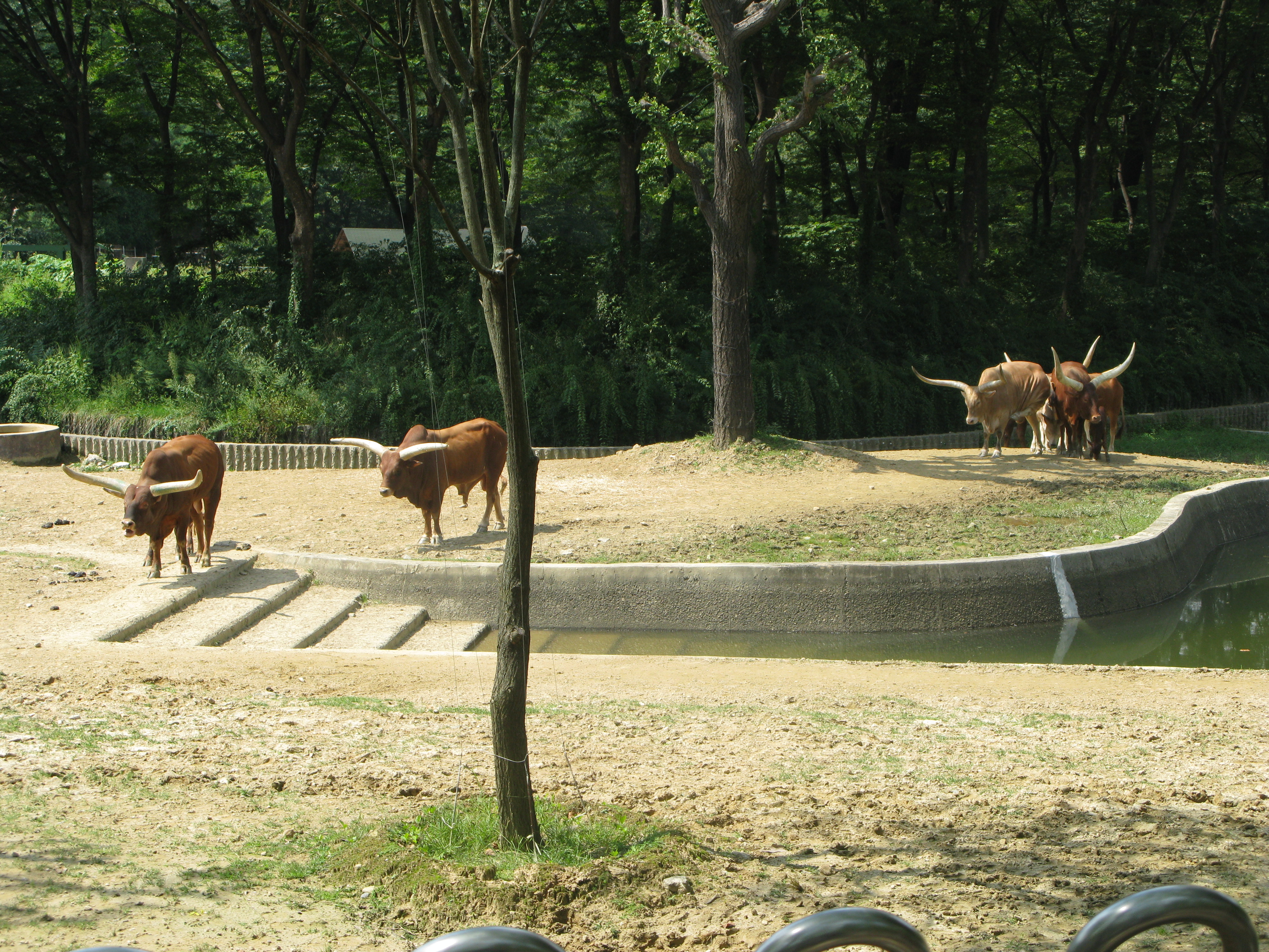 2008-09-07 오후 12-10-14.JPG