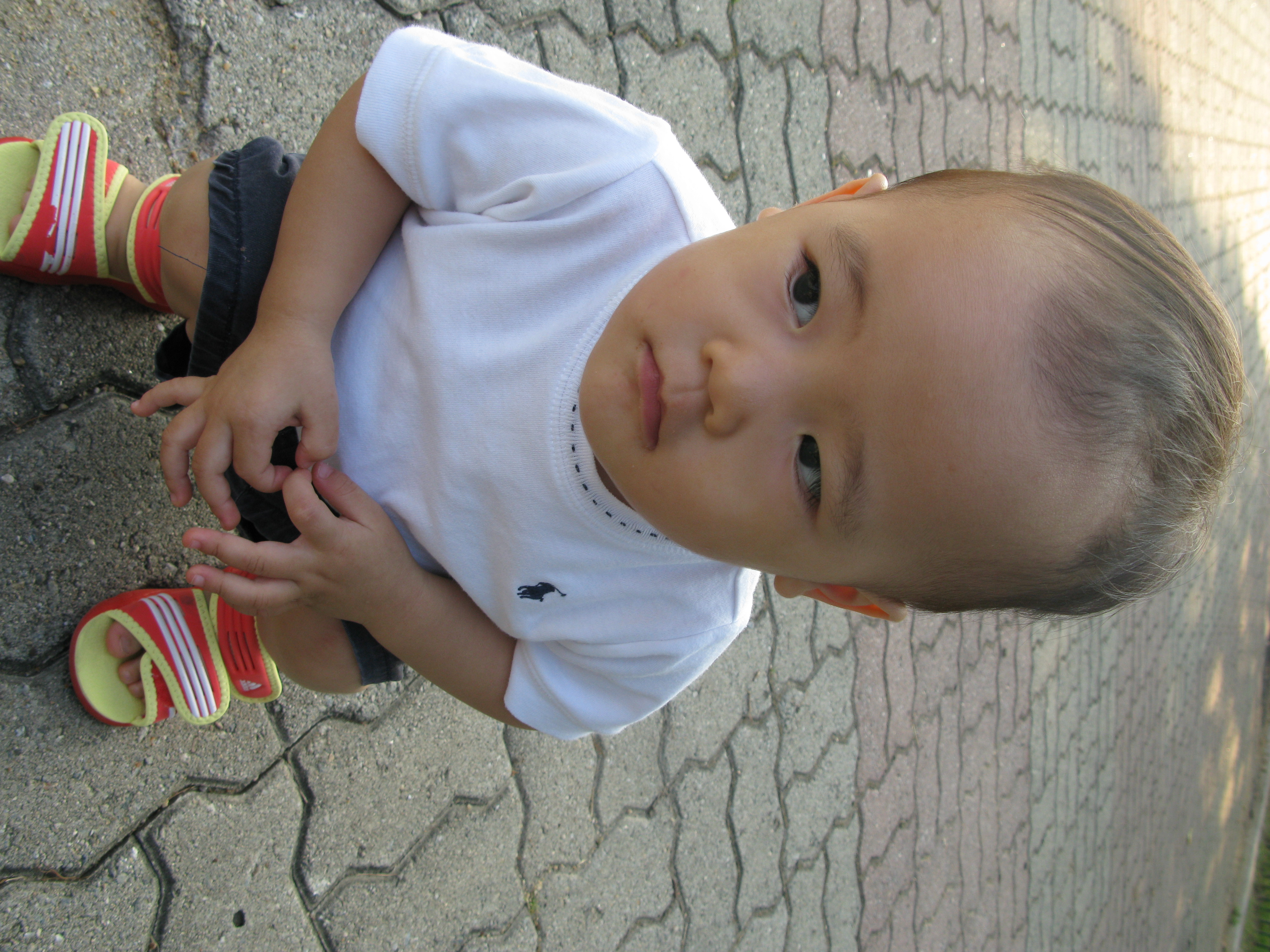 2008-09-21 오후 4-45-09.JPG