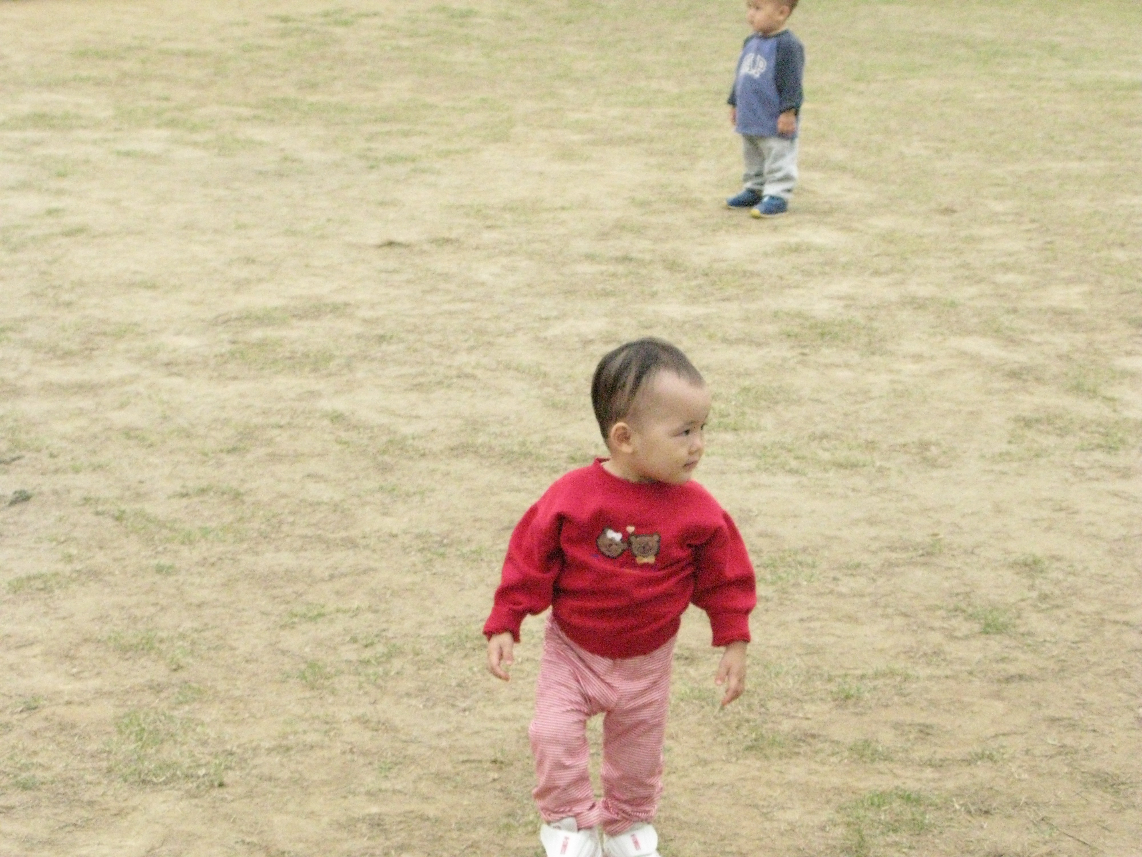 2008-10-19 오후 3-05-54.JPG