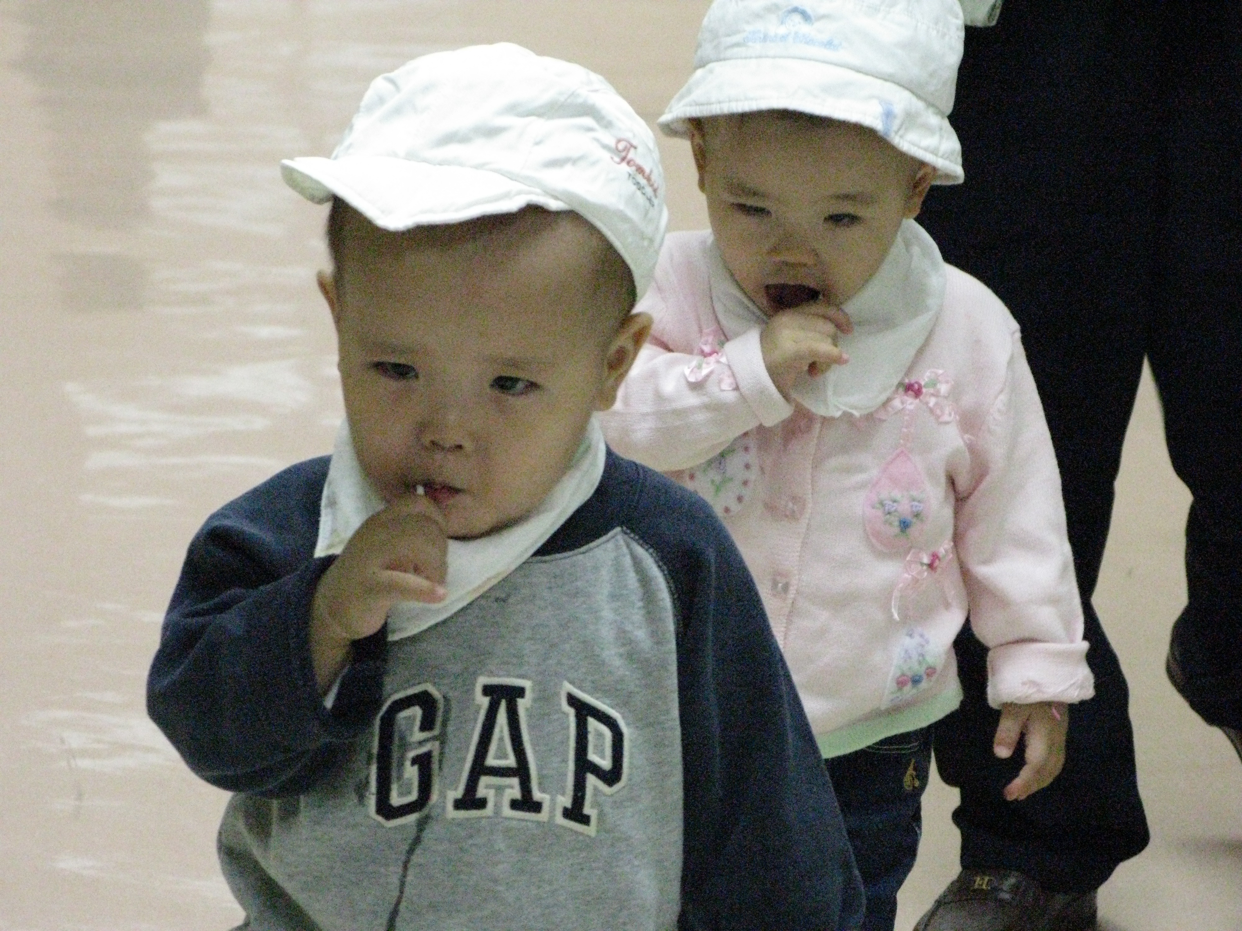 2008-10-22 오전 11-43-01.JPG