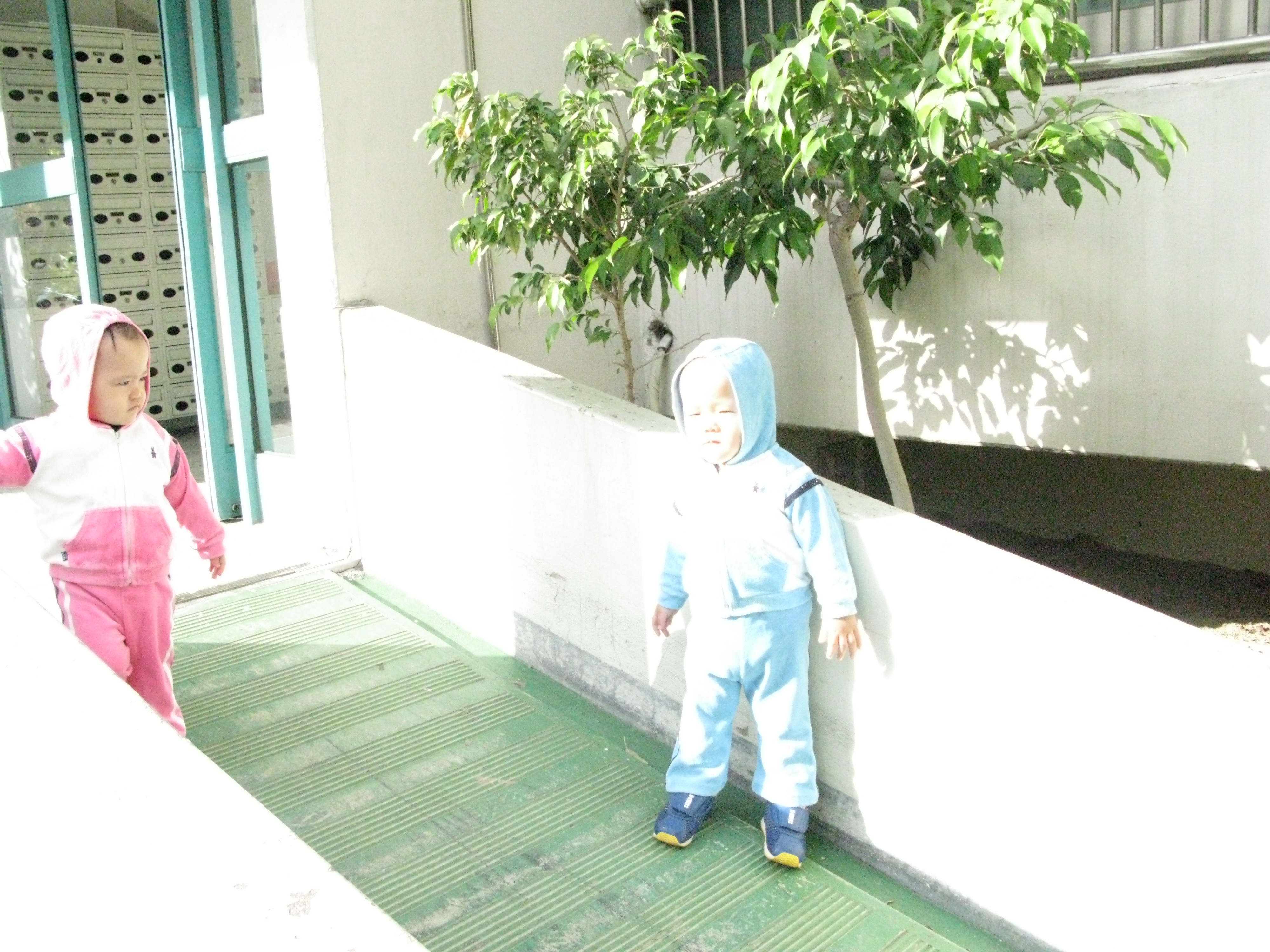 2008-10-26 오후 2-45-35.JPG