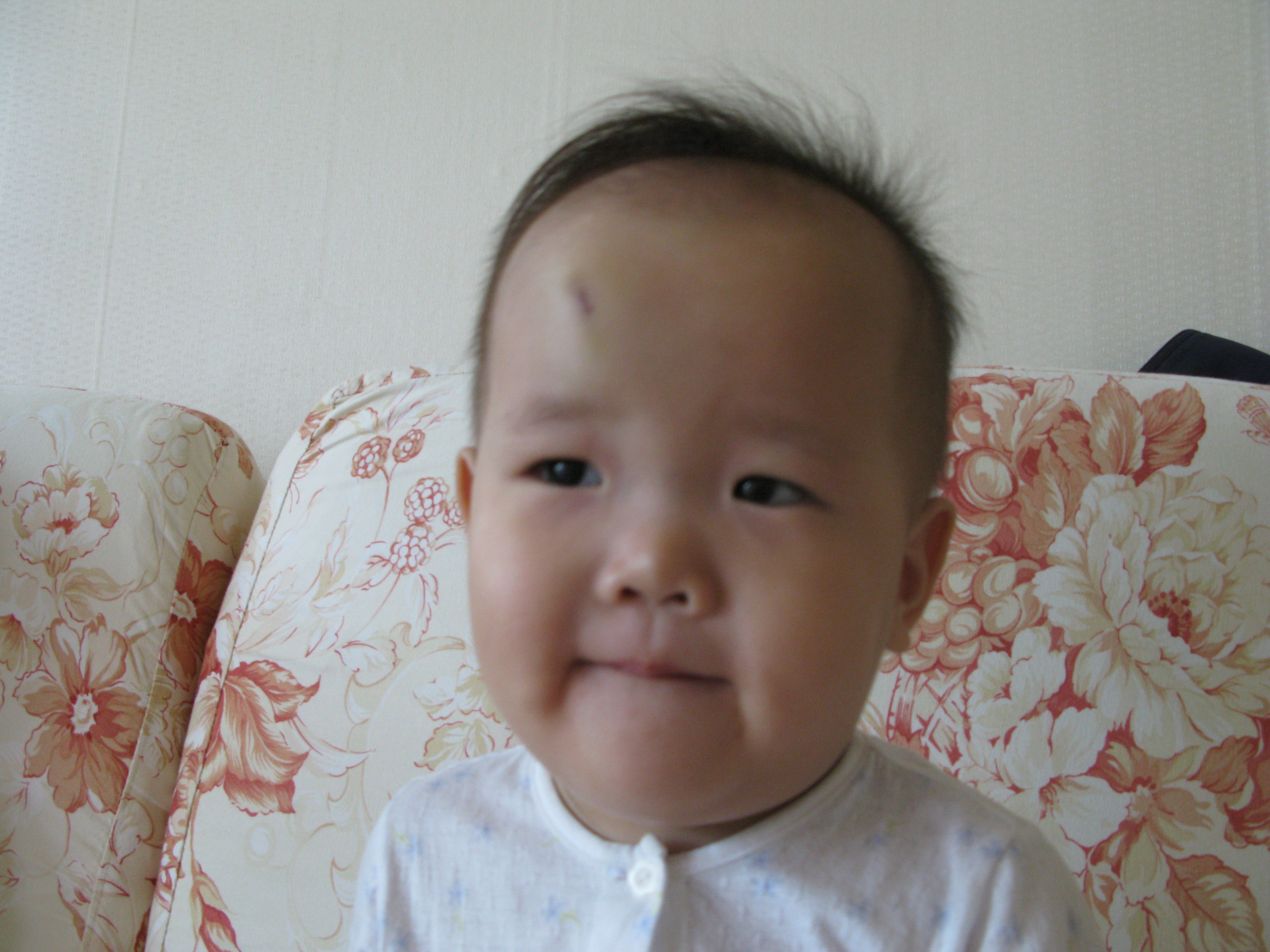 2008-11-07 오전 9-08-33.JPG