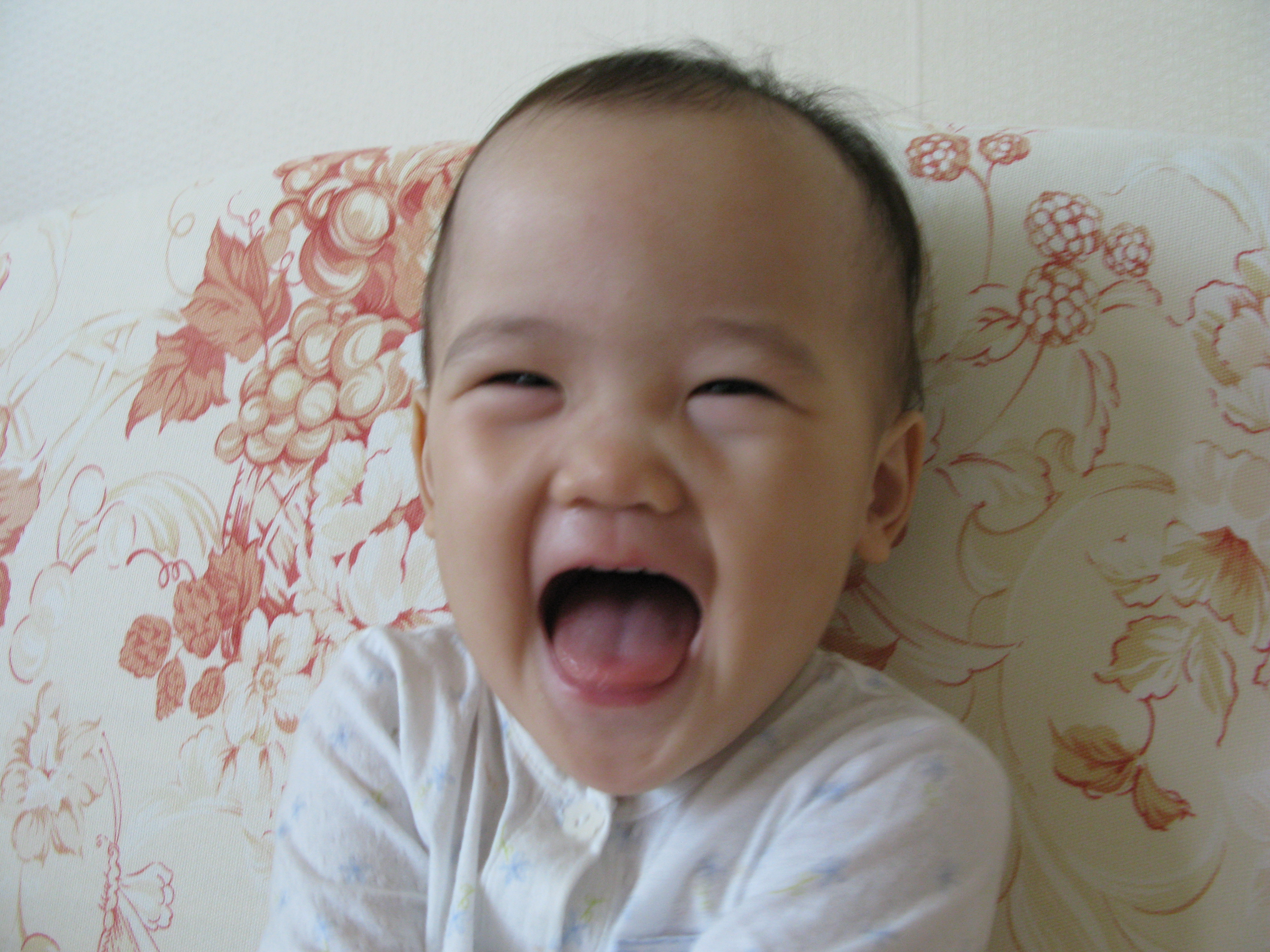 2008-11-07 오전 9-08-44.JPG
