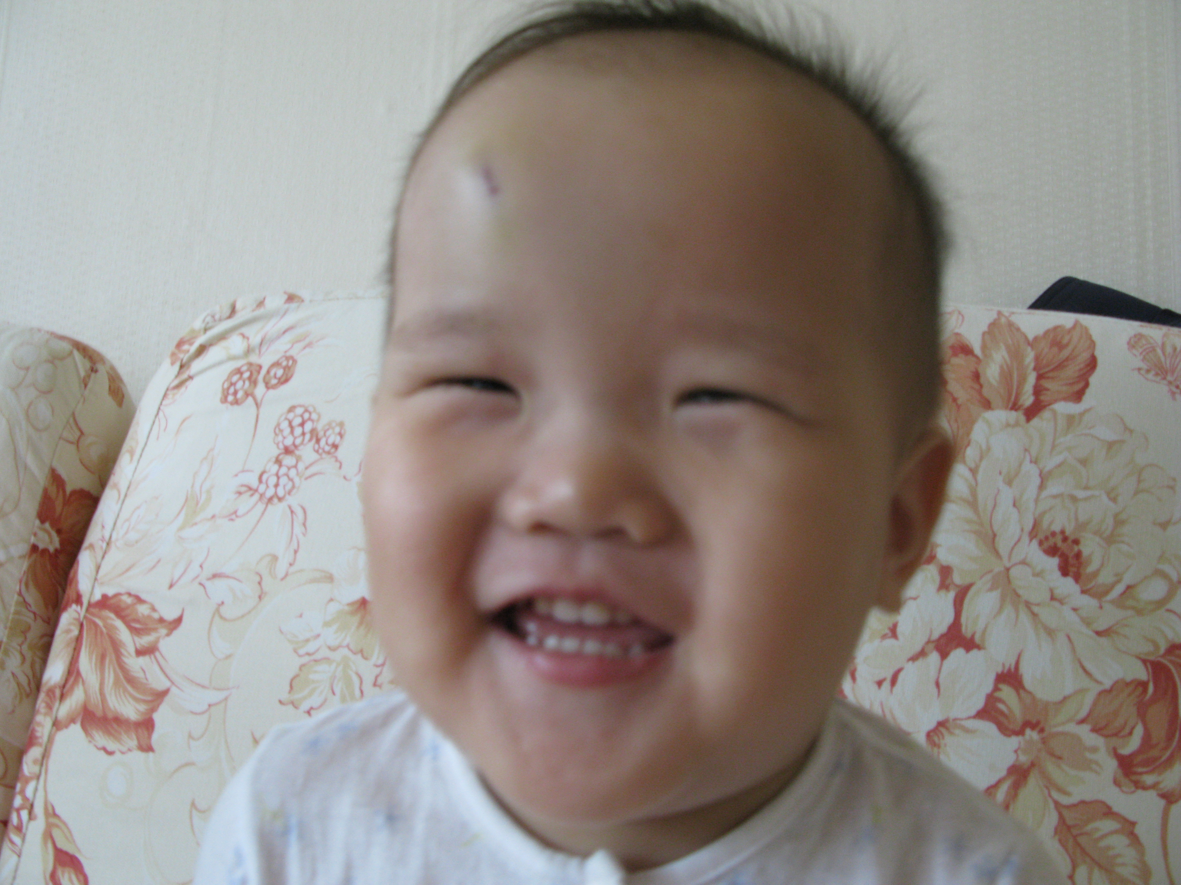 2008-11-07 오전 9-08-58.JPG