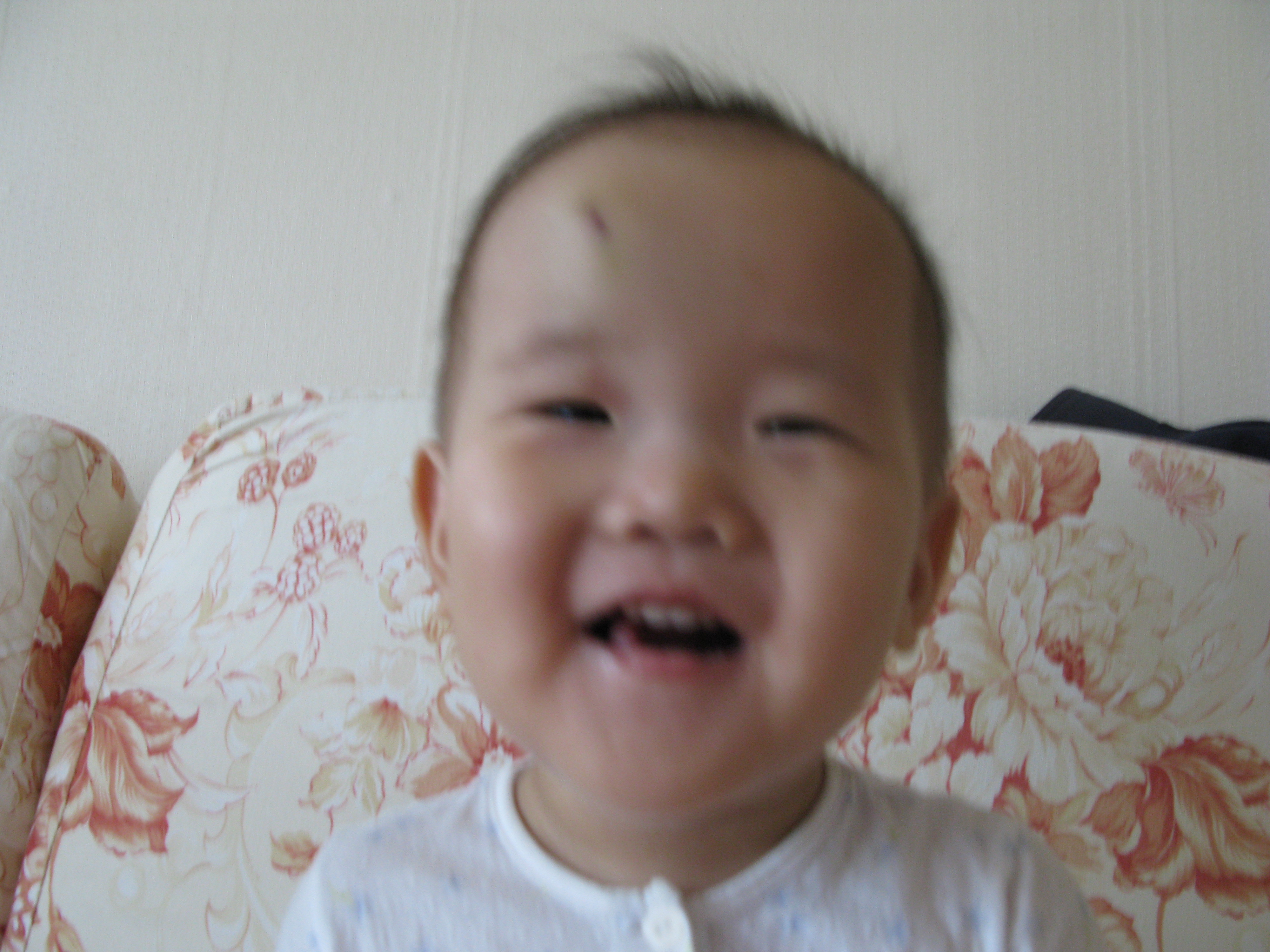 2008-11-07 오전 9-11-34.JPG