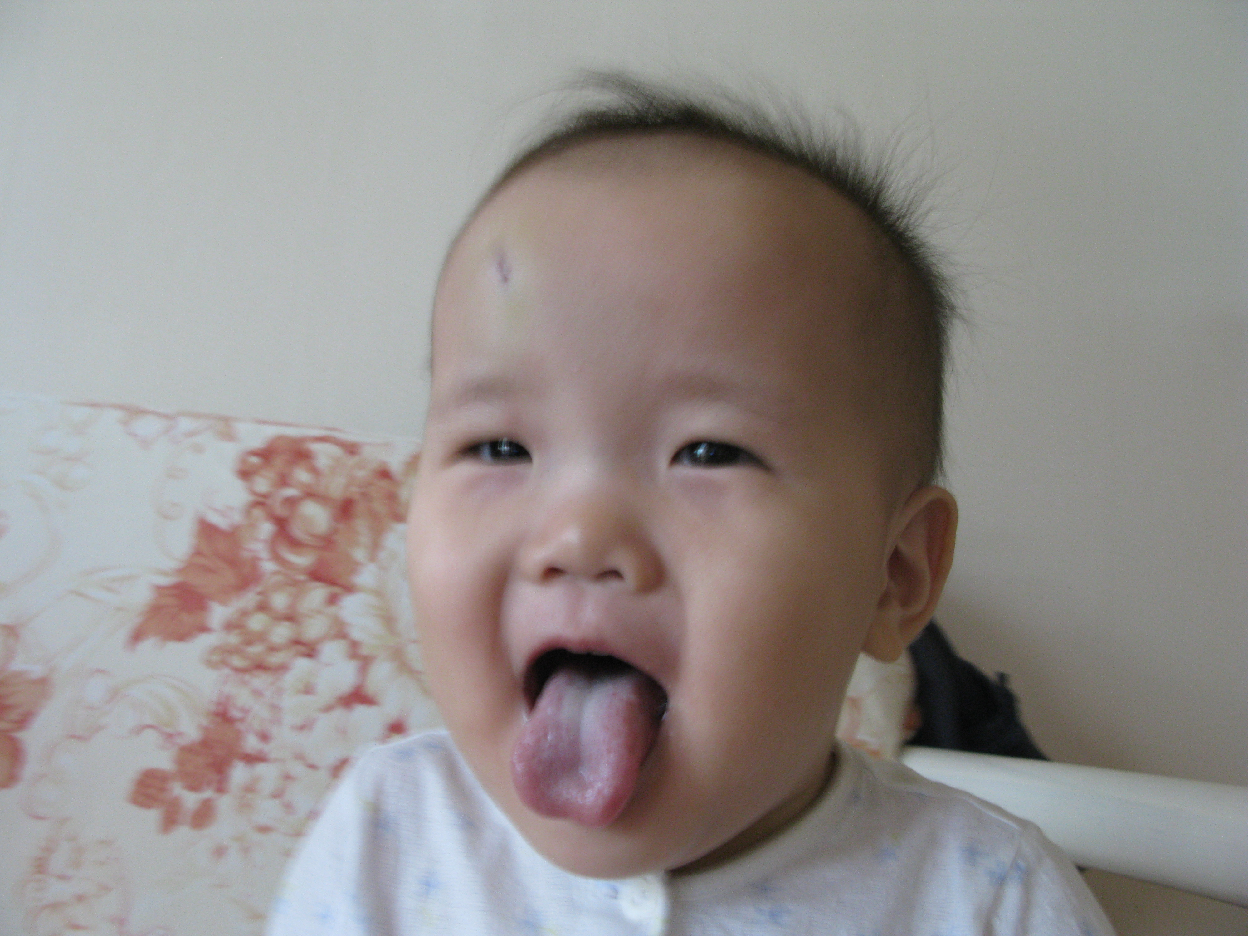 2008-11-07 오전 9-12-05.JPG