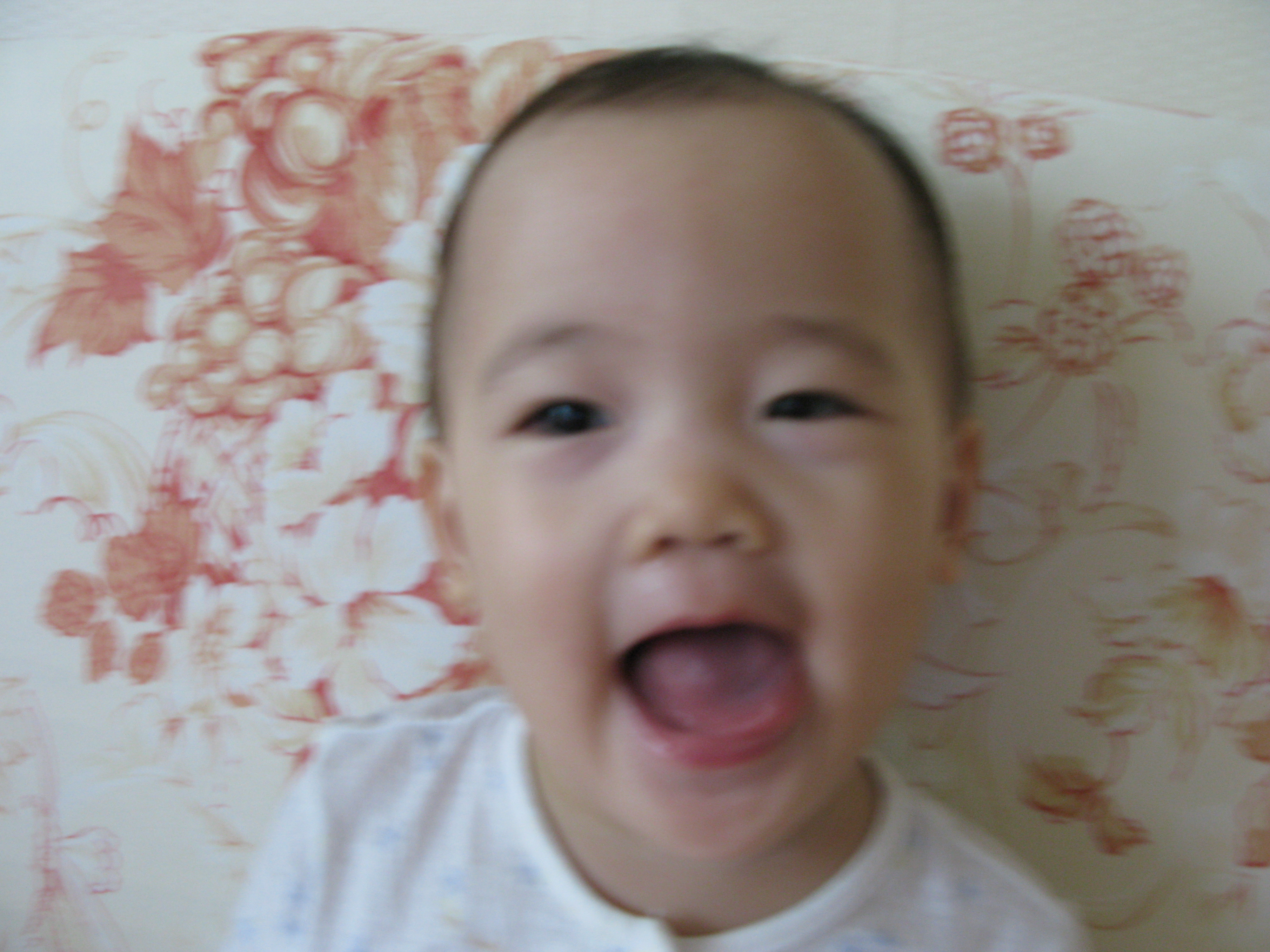 2008-11-07 오전 9-12-24.JPG