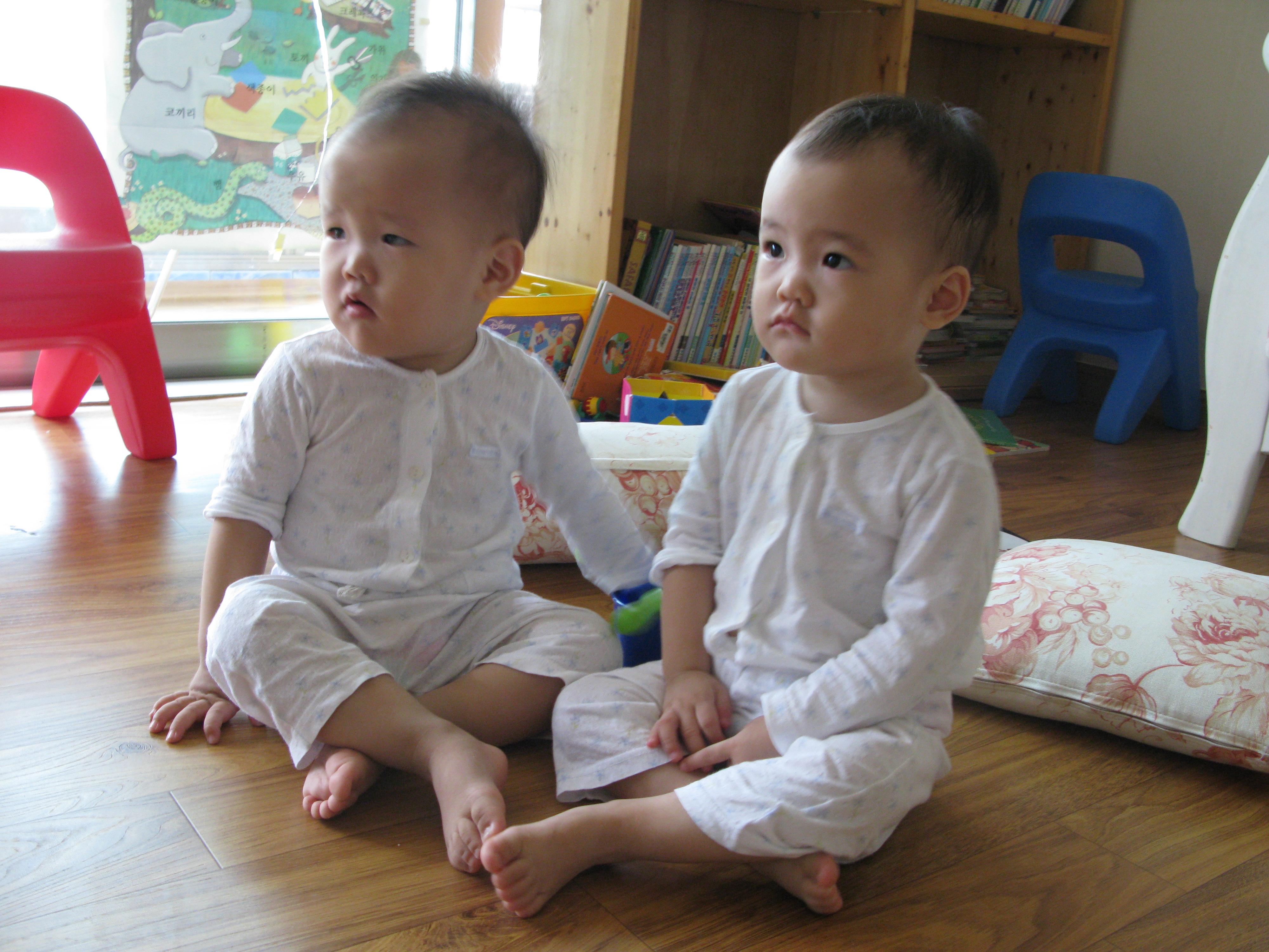 2008-11-07 오전 9-37-00.JPG