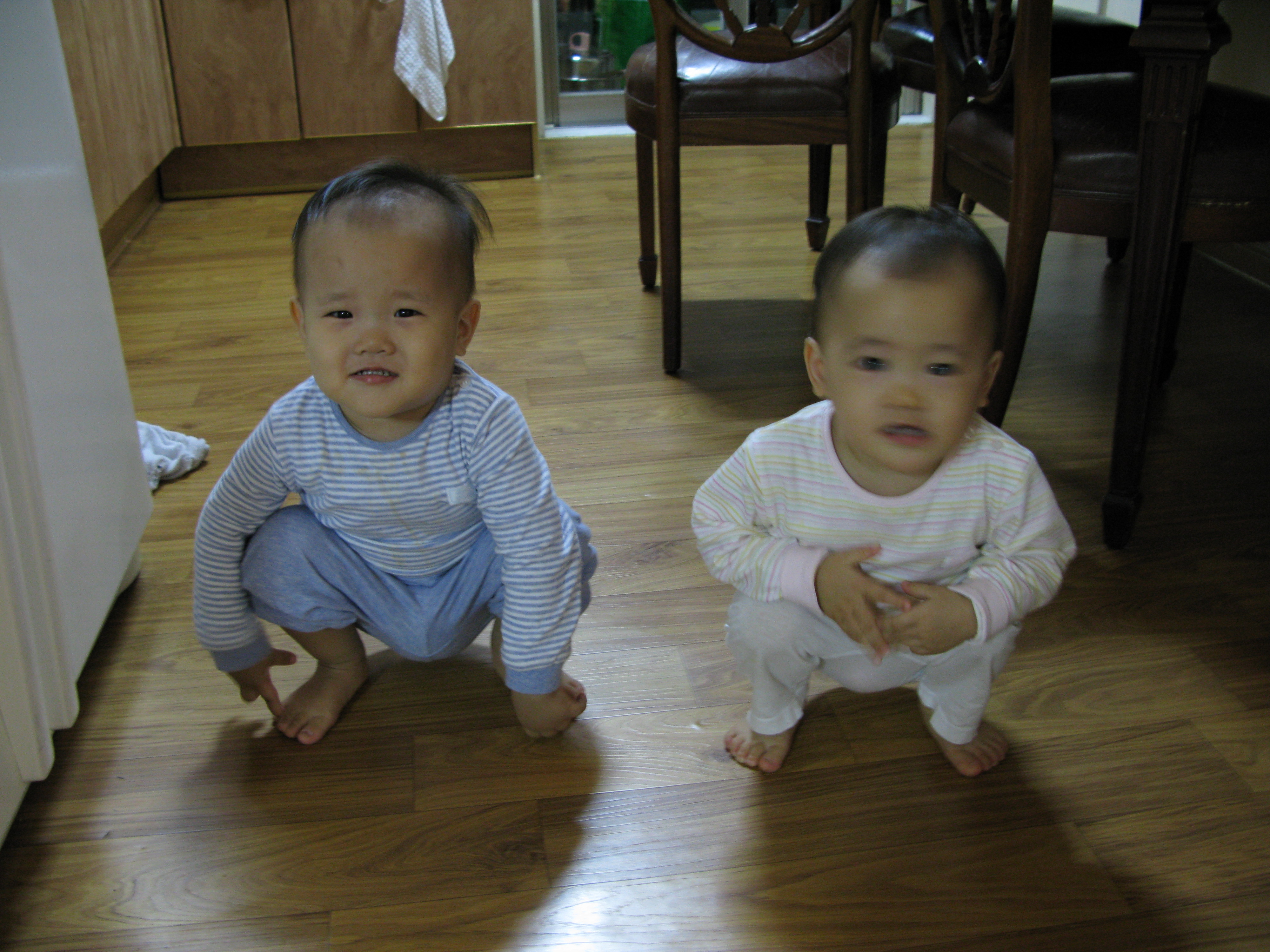 2008-11-21 오후 10-01-47.JPG