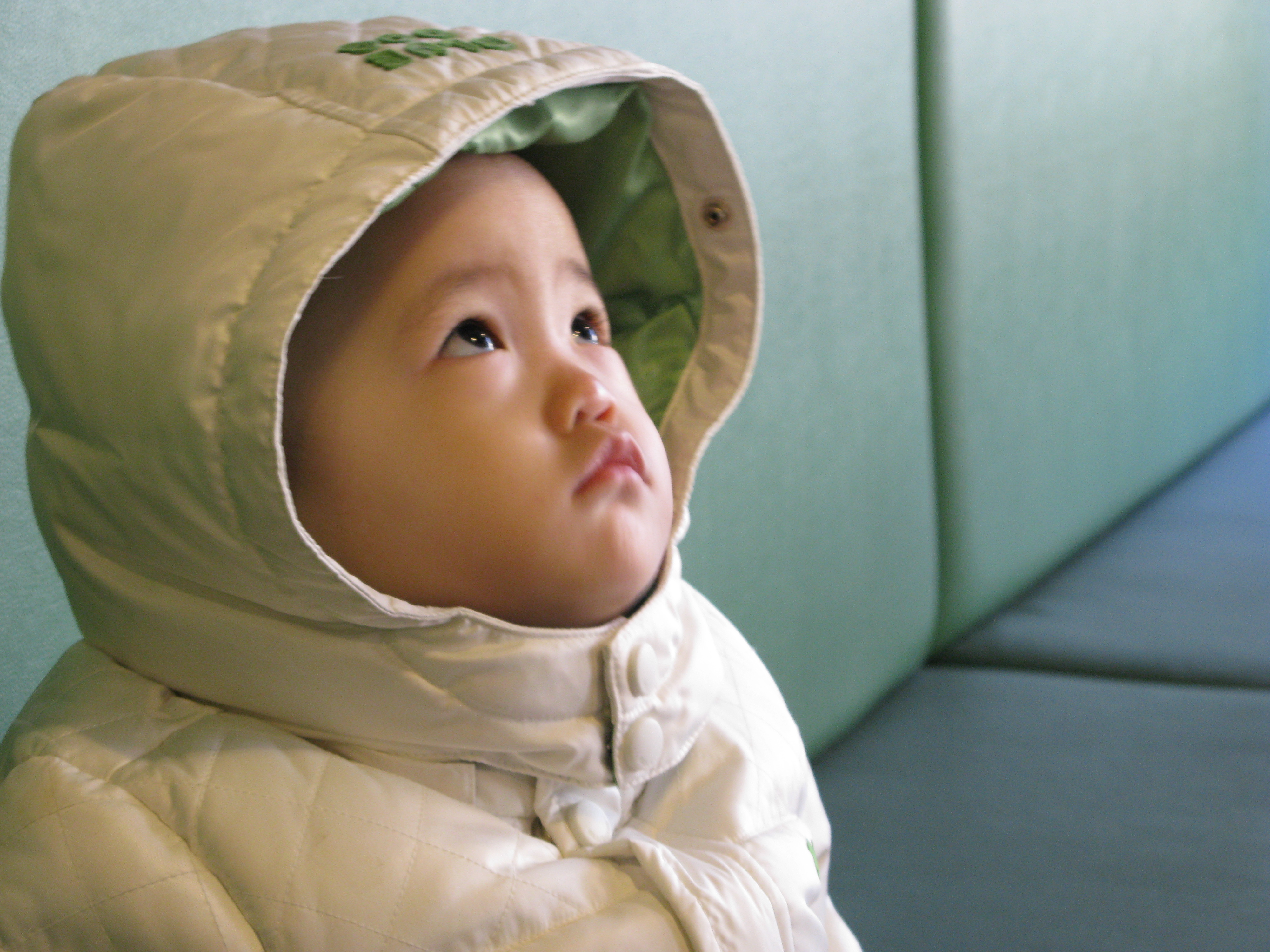 2008-11-30 오후 2-07-17.JPG