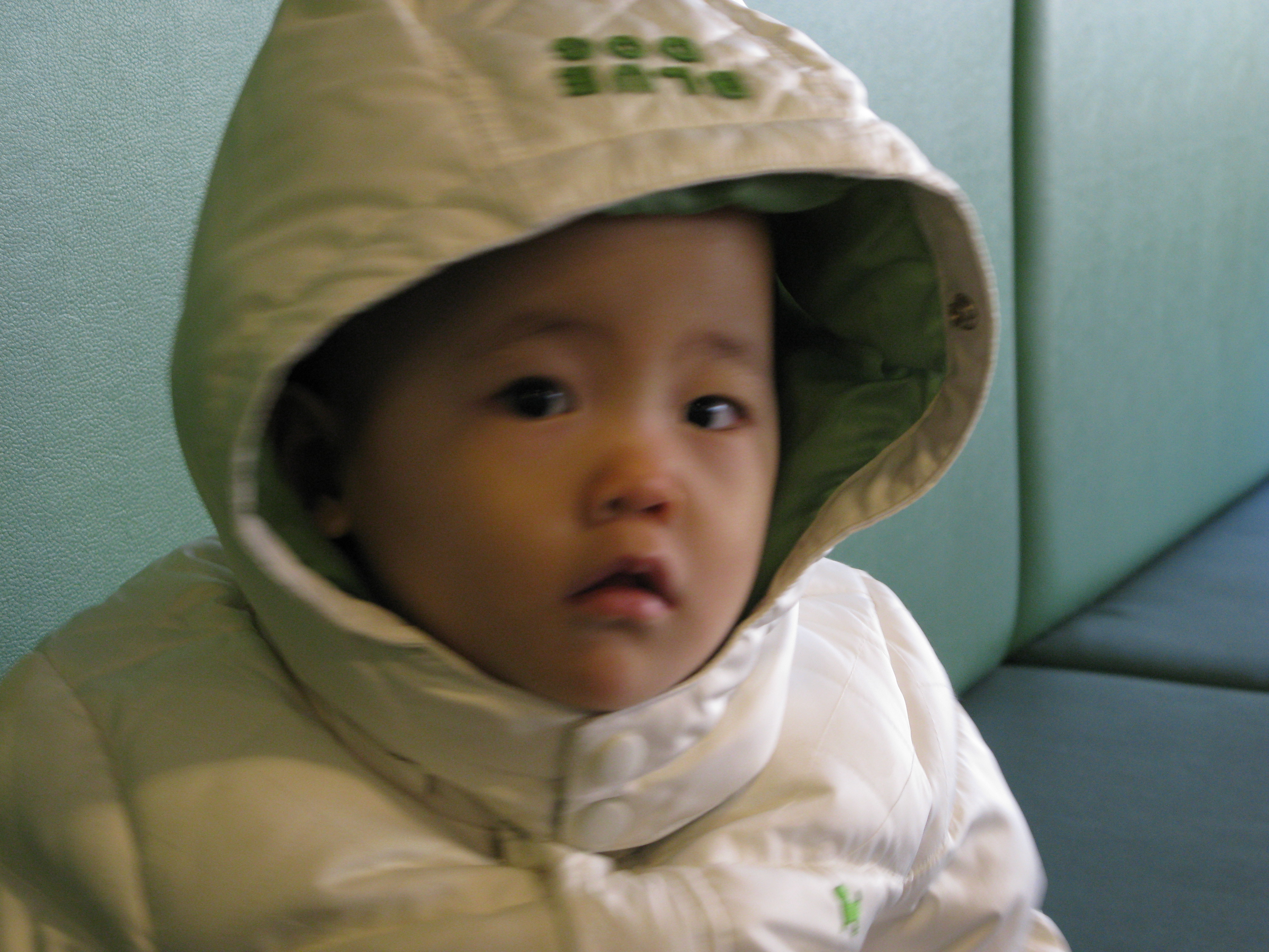 2008-11-30 오후 2-07-23.JPG