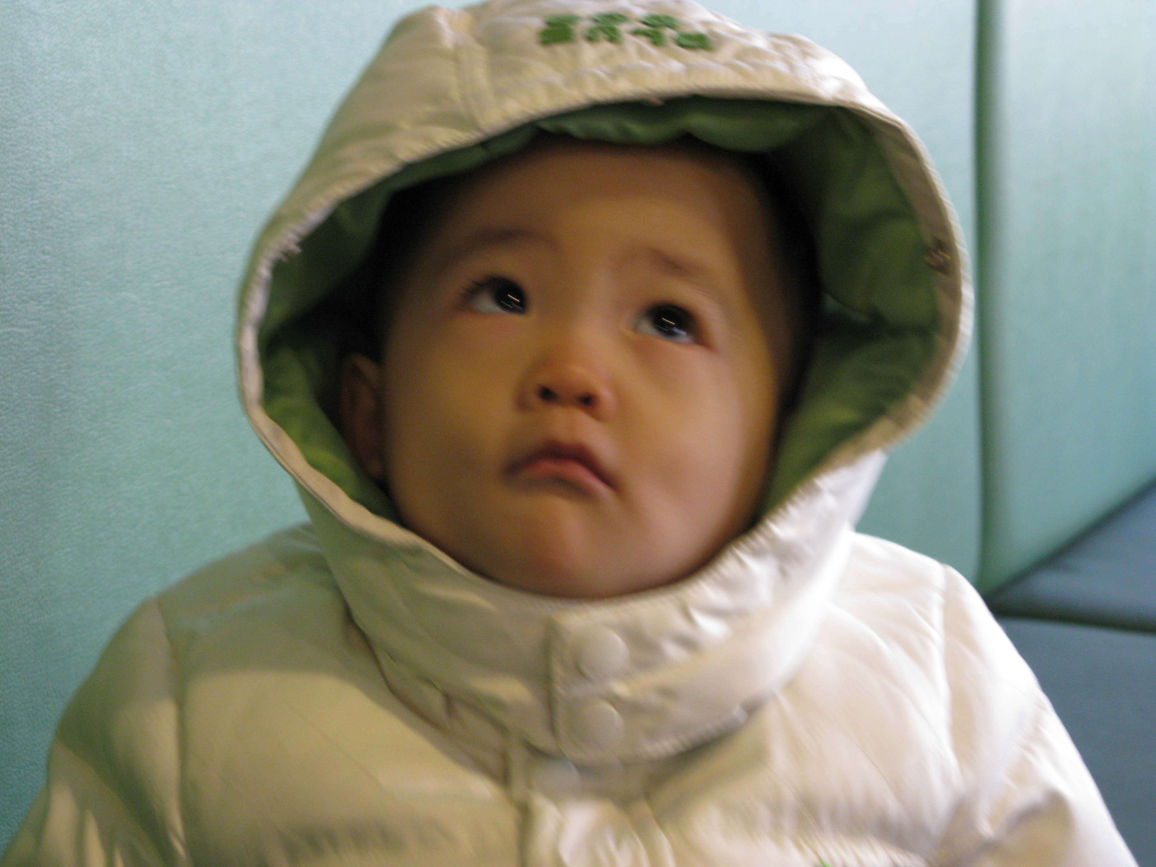2008-11-30 오후 2-07-28.JPG
