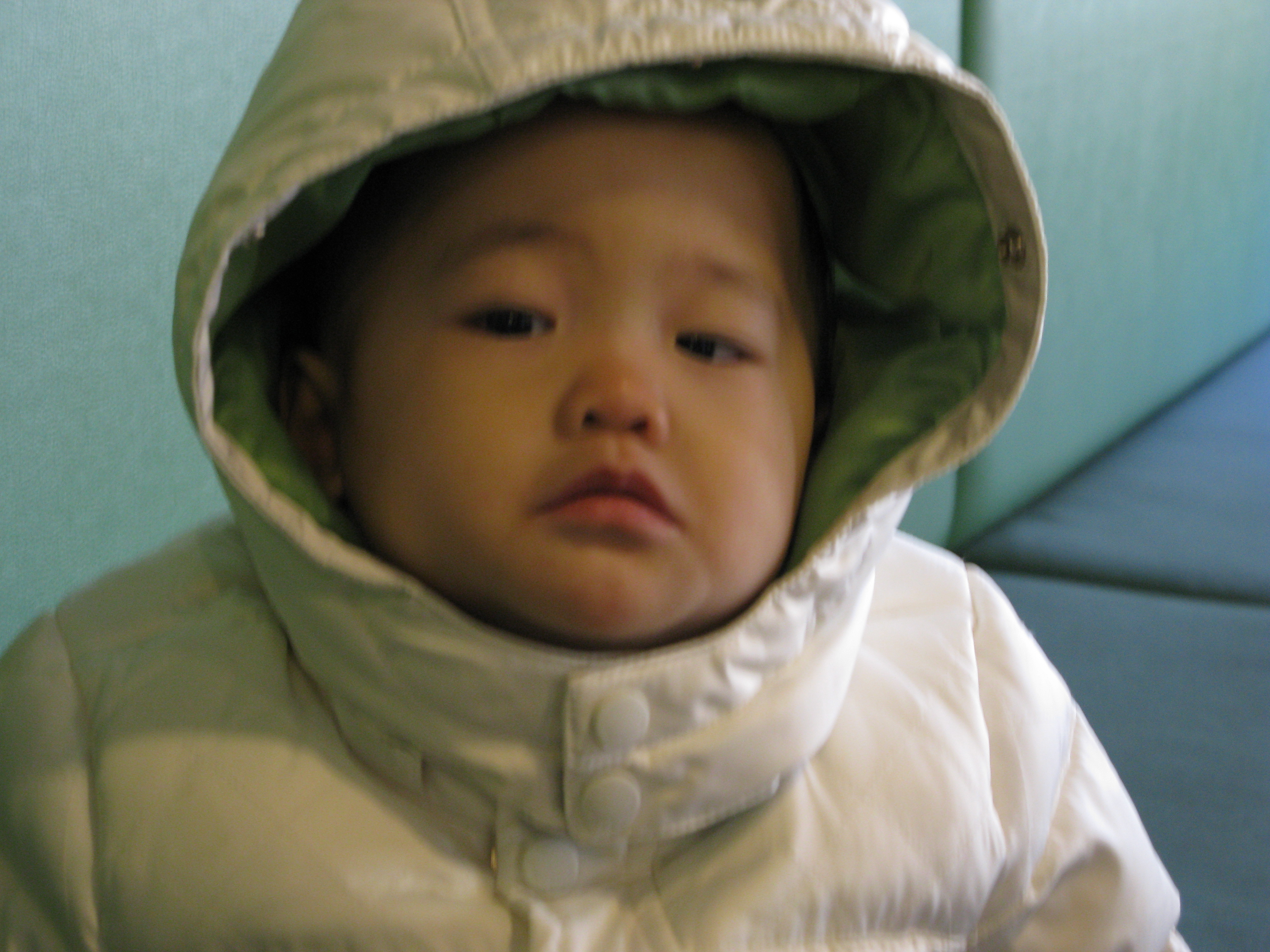2008-11-30 오후 2-07-34.JPG