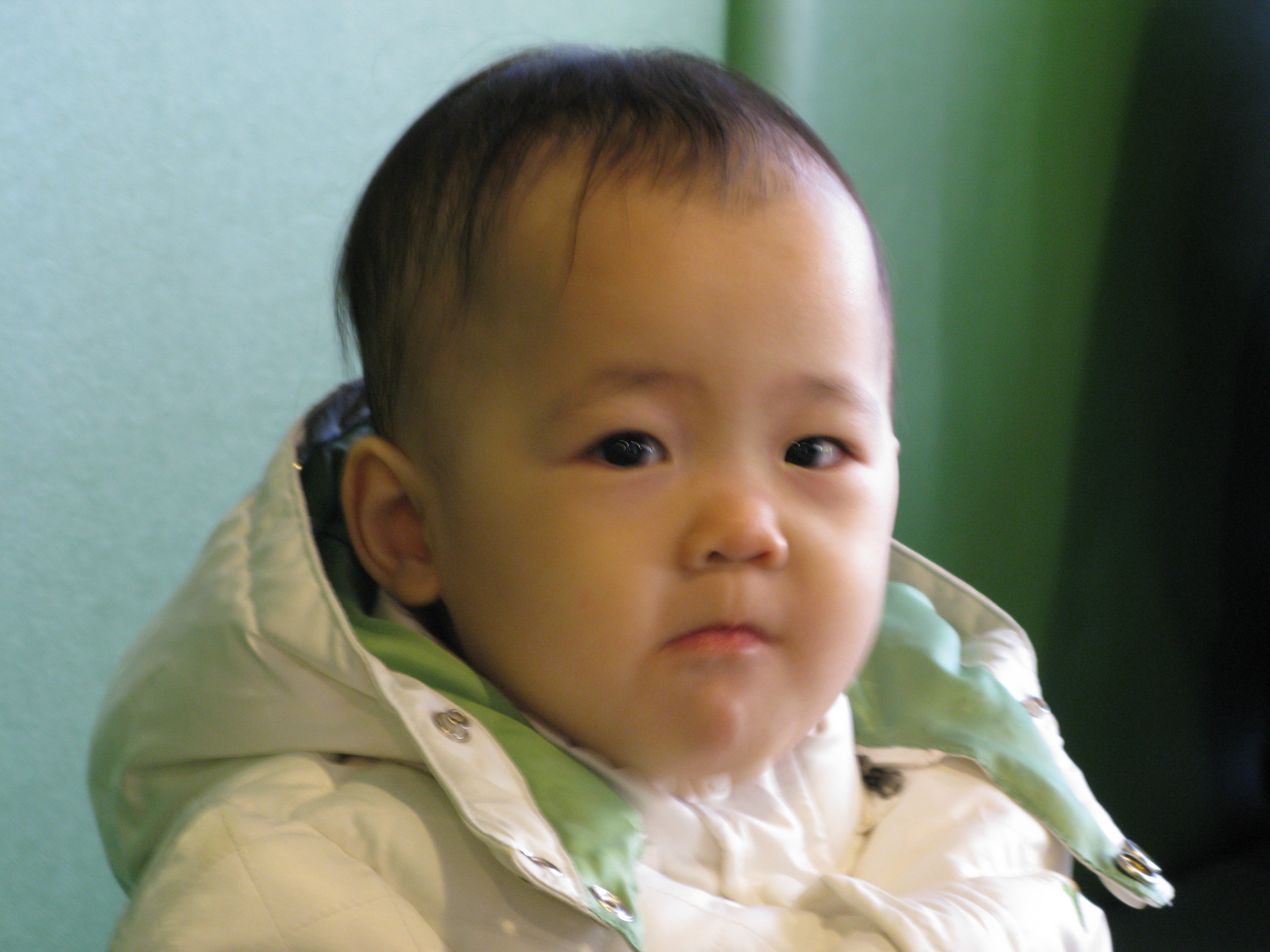 2008-11-30 오후 2-31-40.JPG
