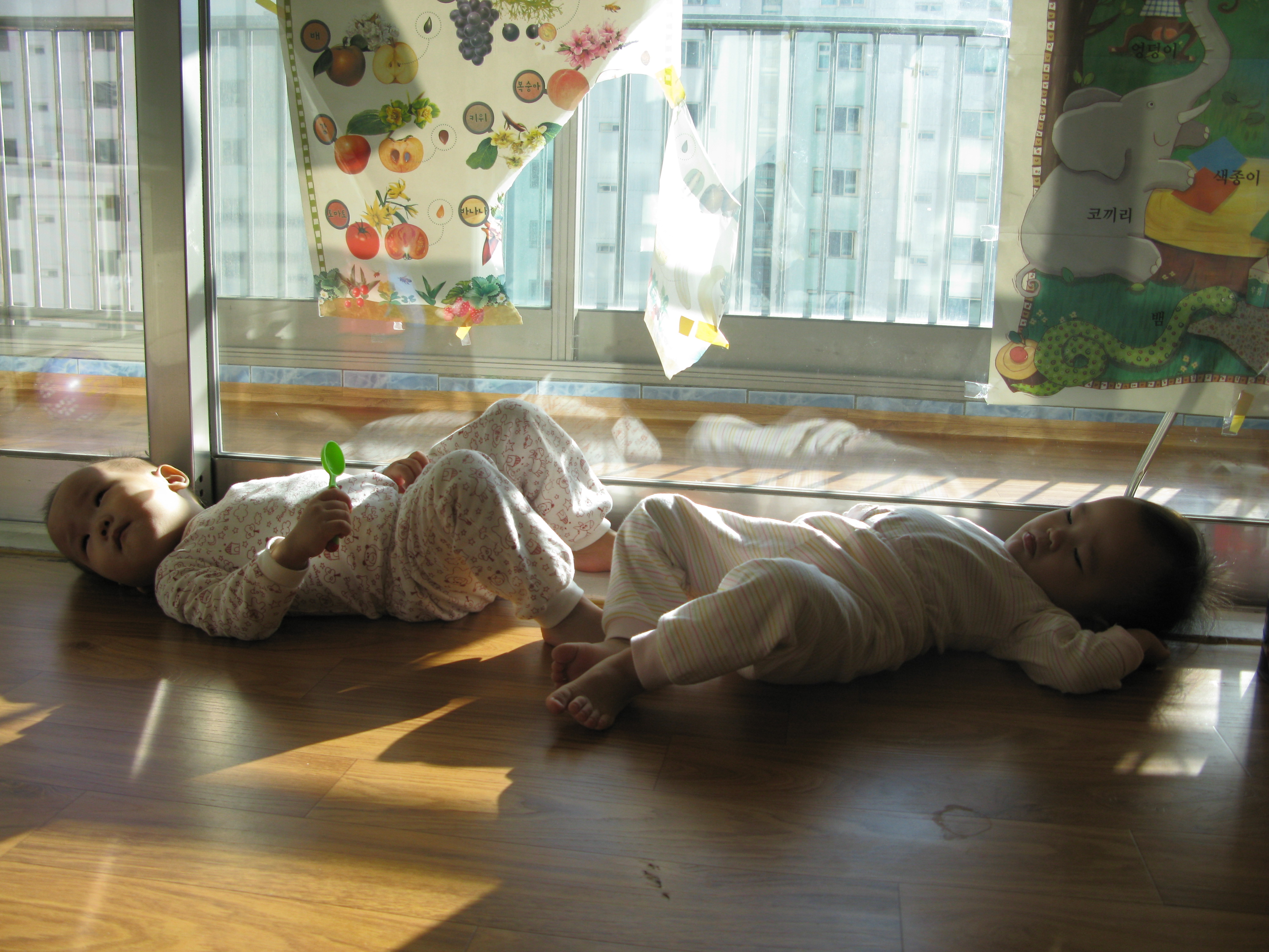 2008-12-06 오후 2-36-39.JPG