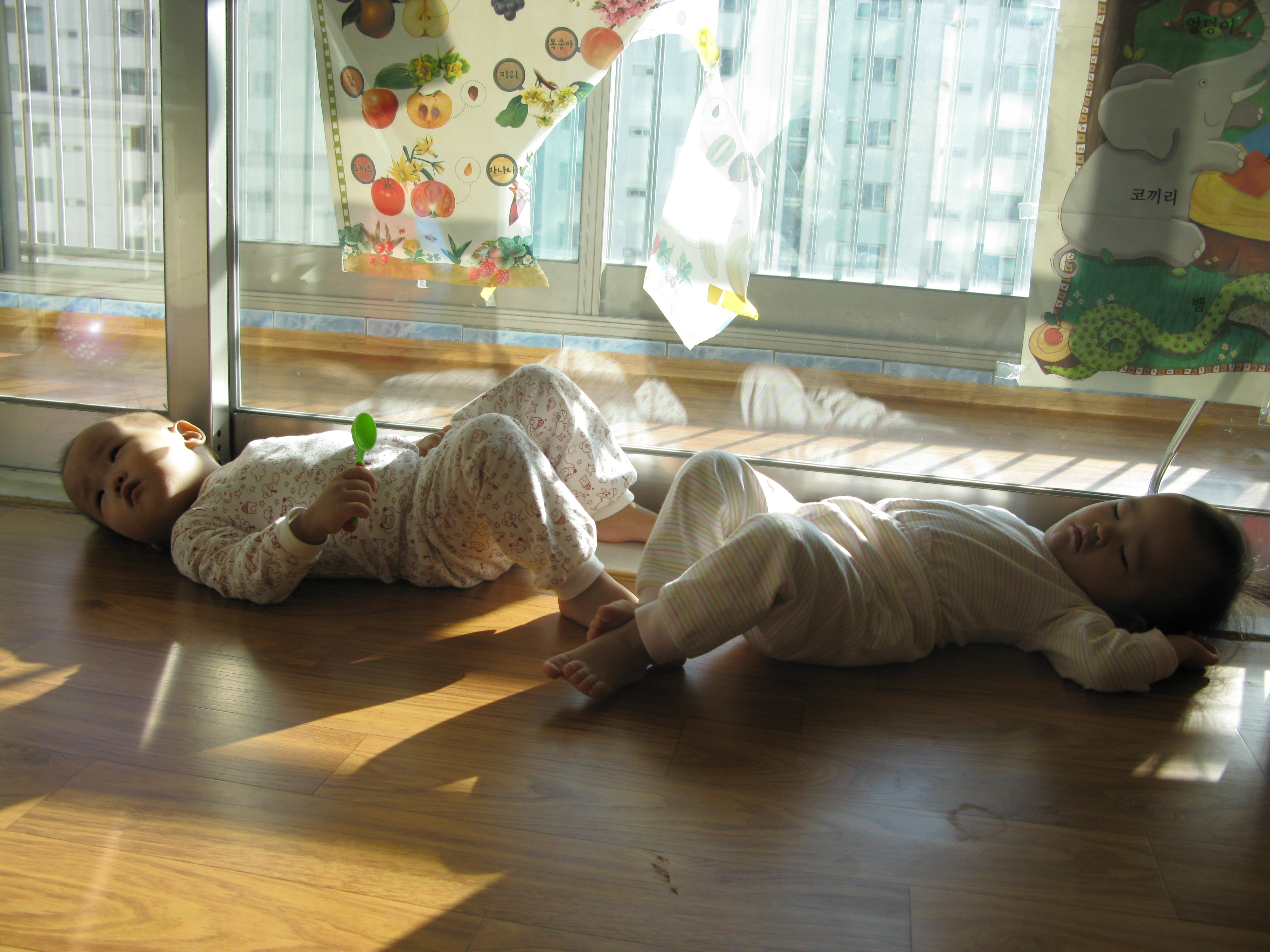 2008-12-06 오후 2-36-51.JPG